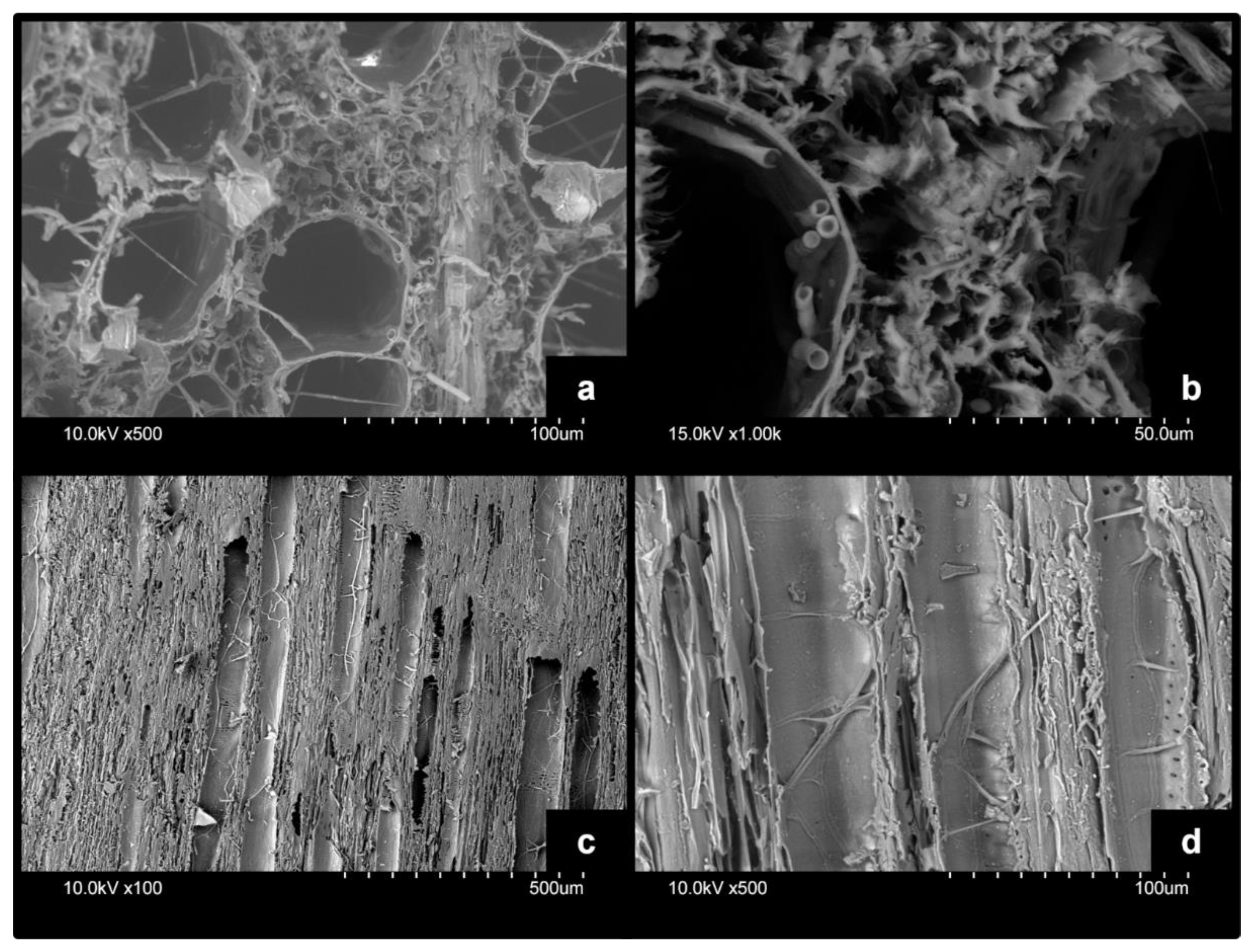 Forests 13 01003 g007 550