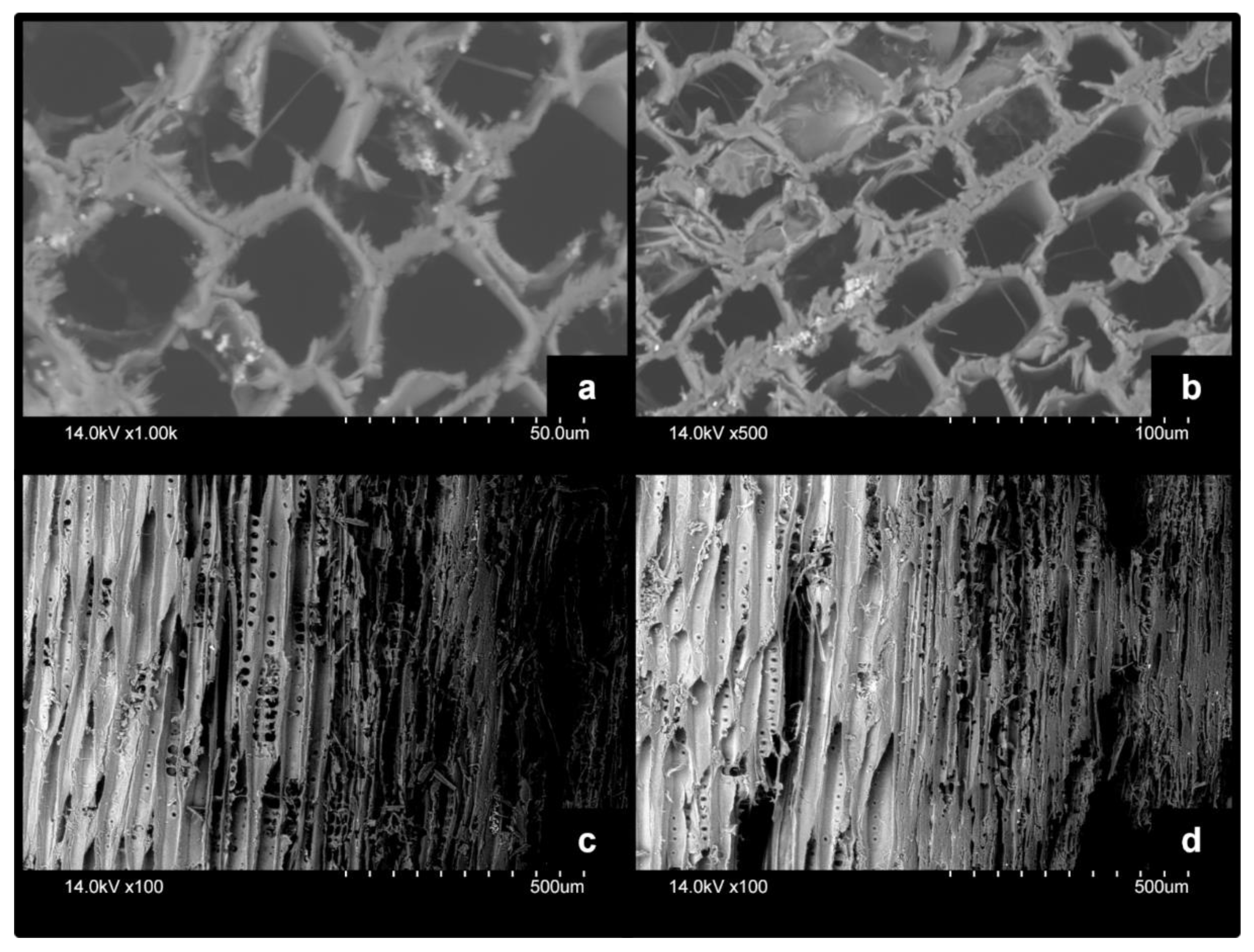 Forests 13 01003 g008 550