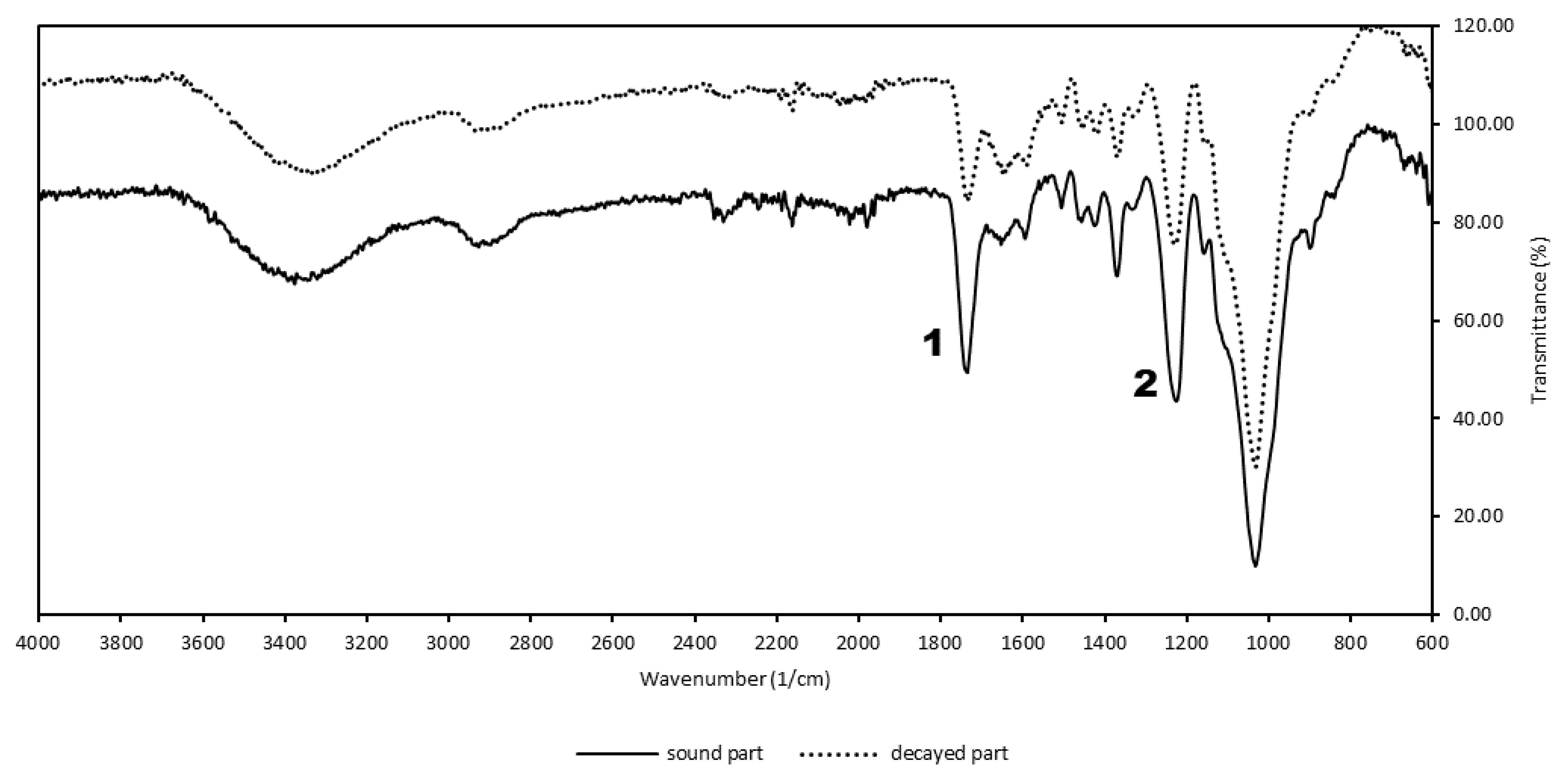 Forests 13 01003 g009 550