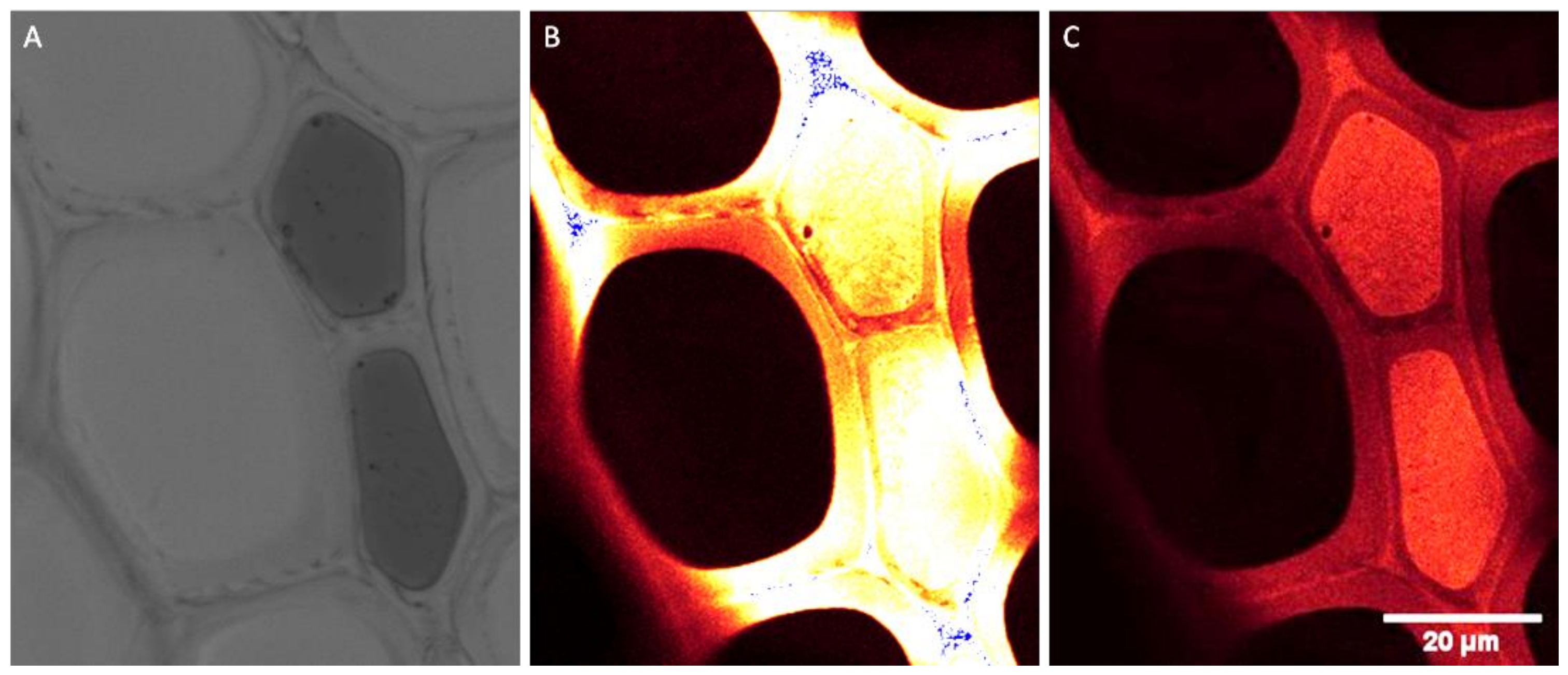 Forests 13 01004 g003 Forests 13 01004 g003