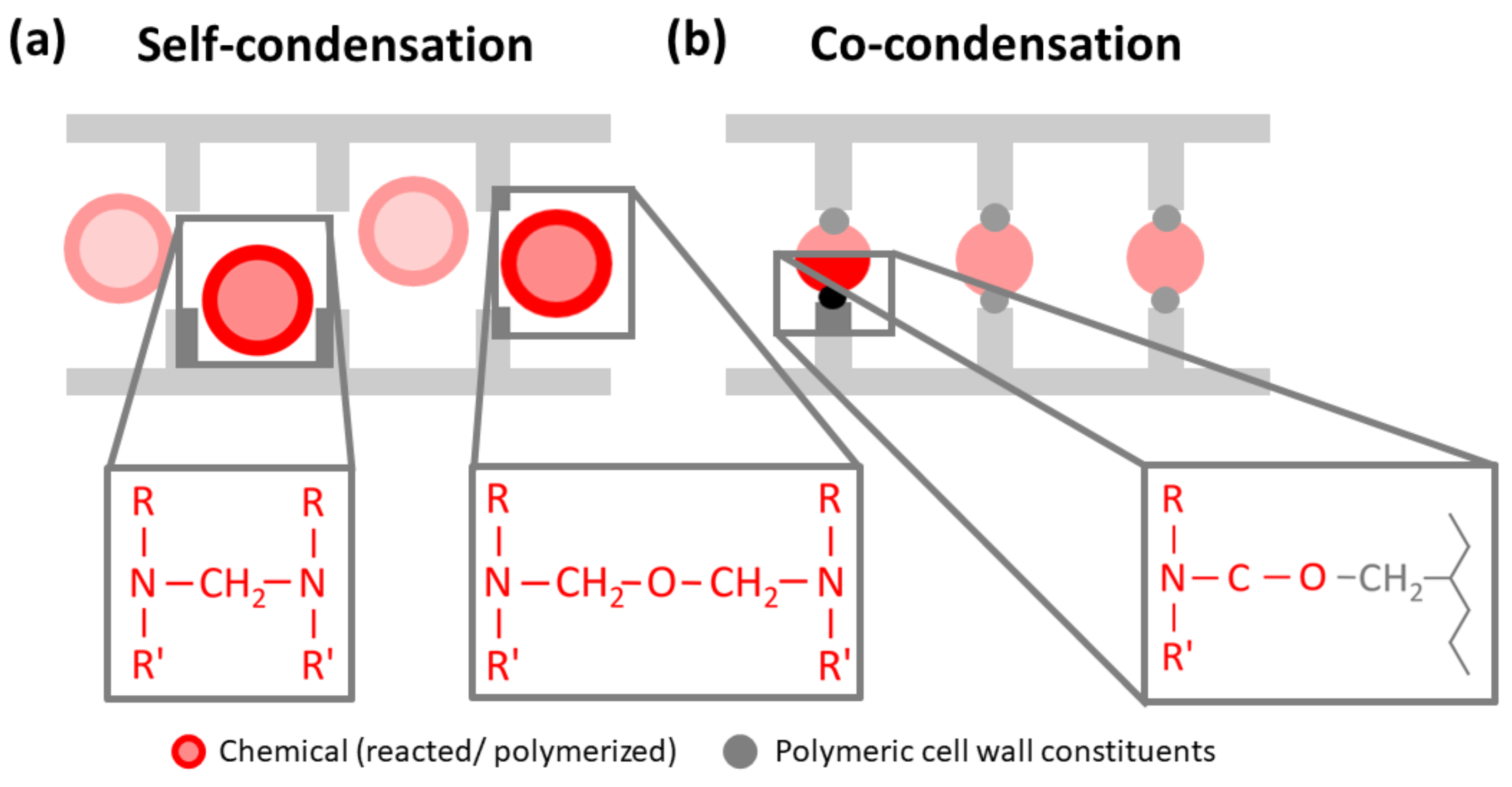 Forests 13 01004 g008 Forests 13 01004 g008