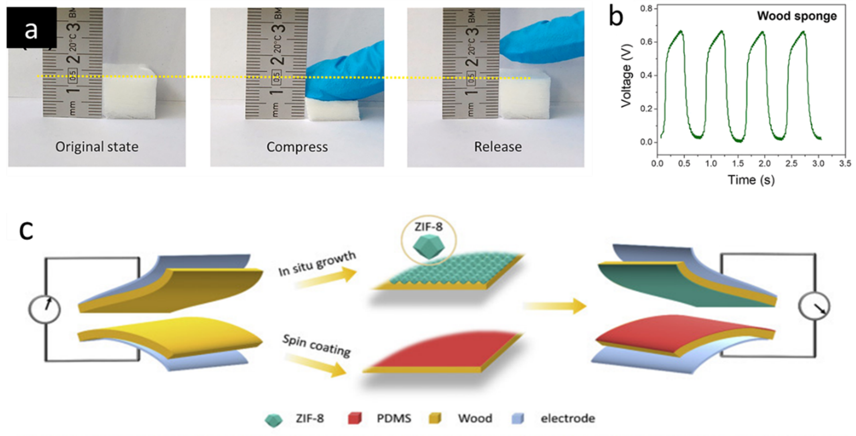 Forests 13 01004 g010 Forests 13 01004 g010
