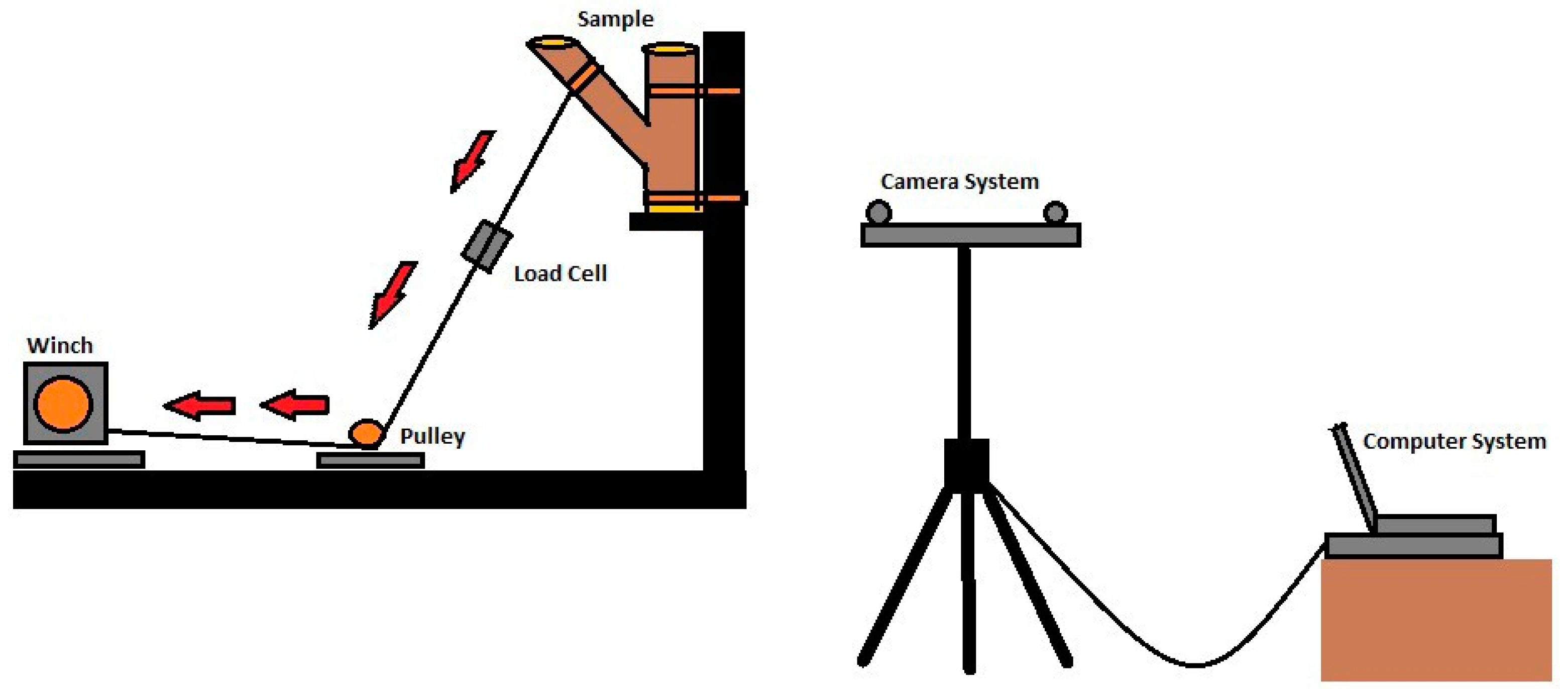 Forests 13 01007 g001