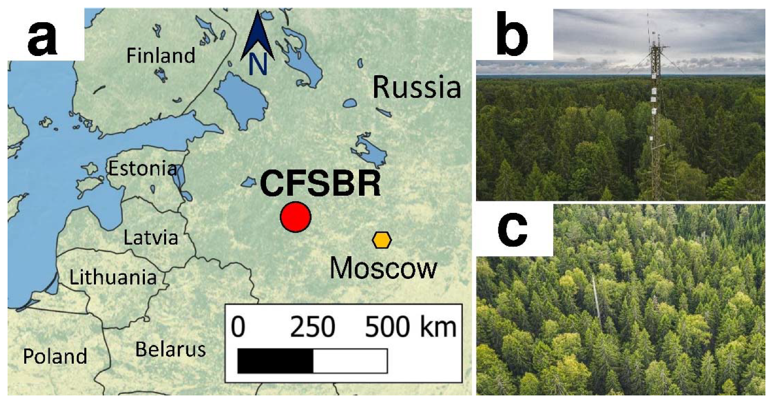 Forests 13 01019 g001