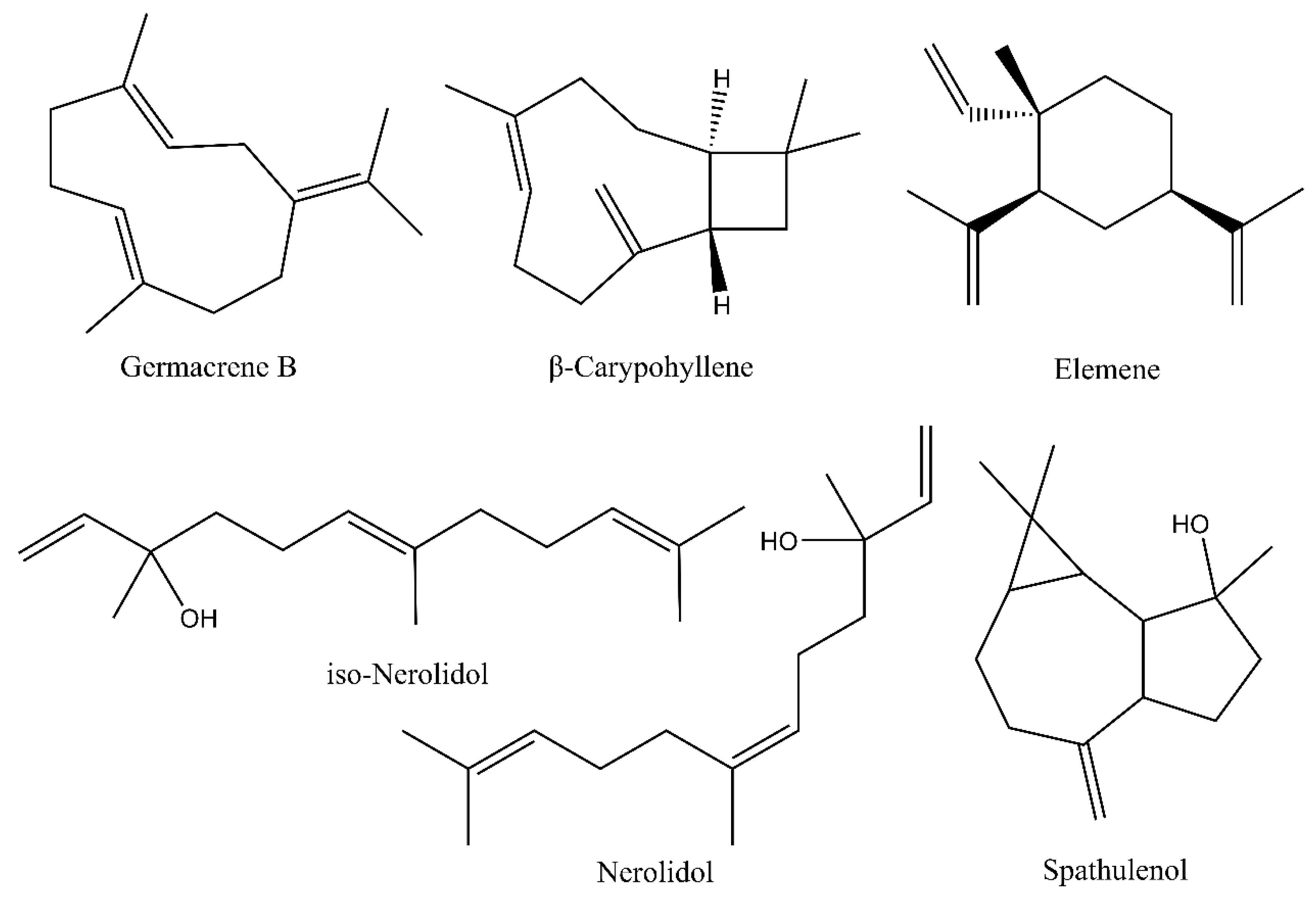 Forests 13 01020 g002 550