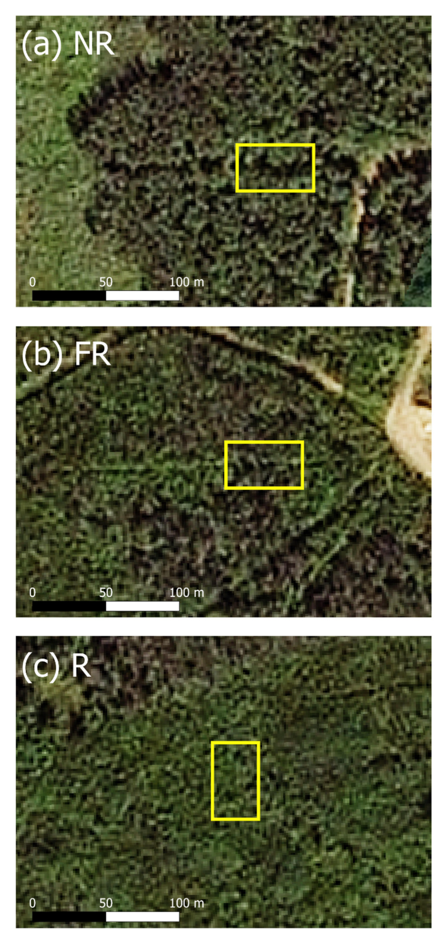 Forests 13 01022 g003