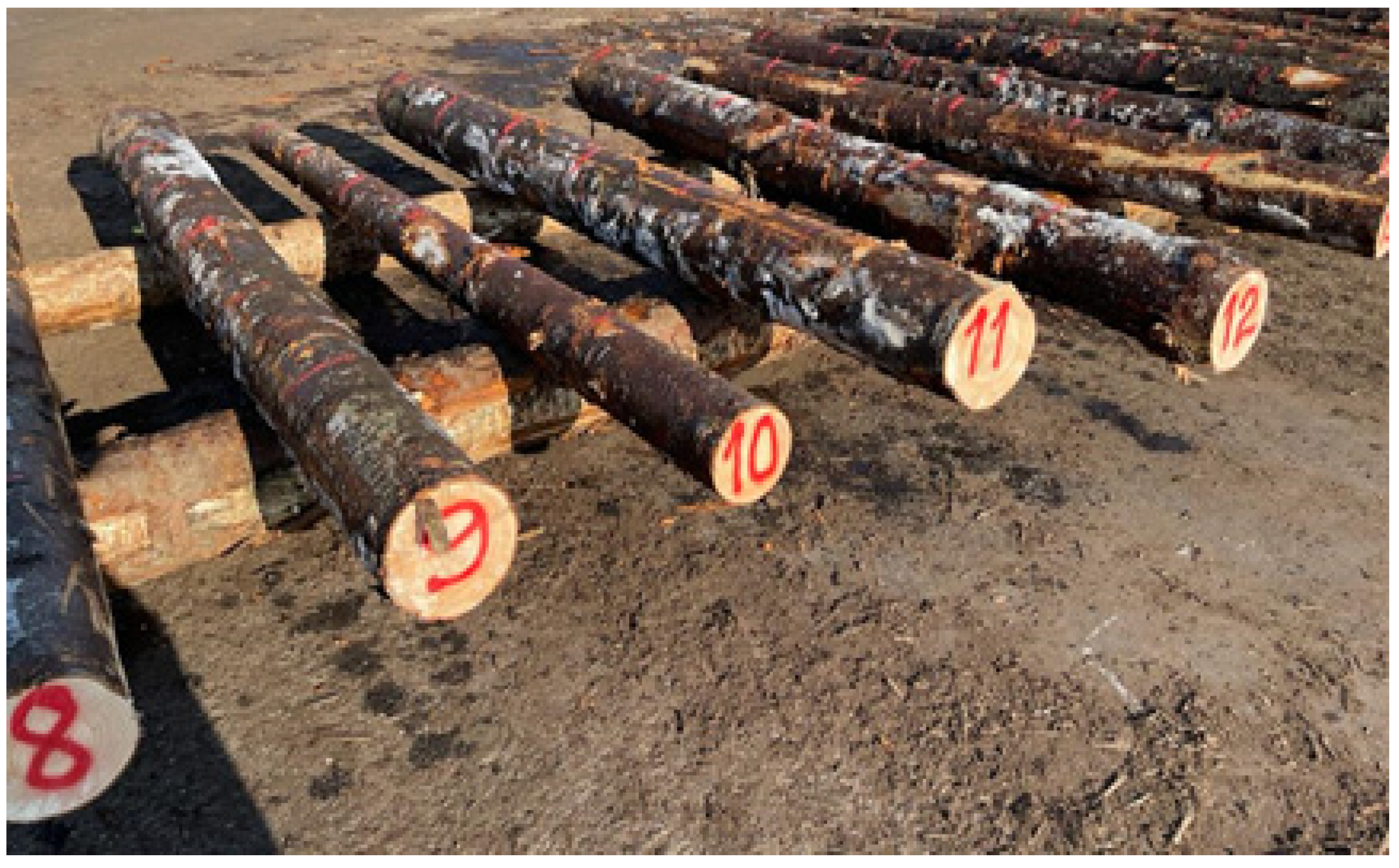 Forests 13 01028 g001