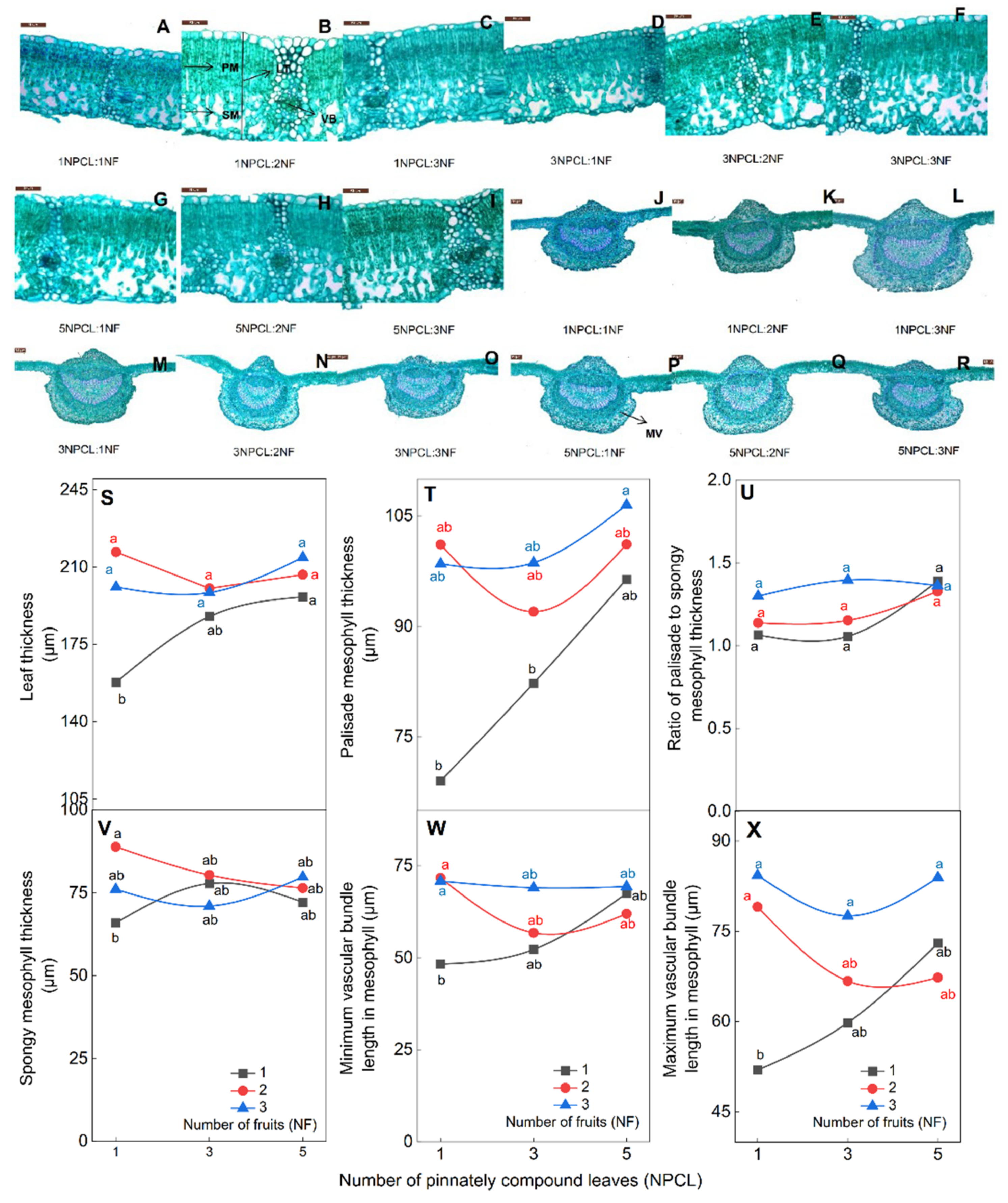 Forests 13 01034 g006 Forests 13 01034 g006