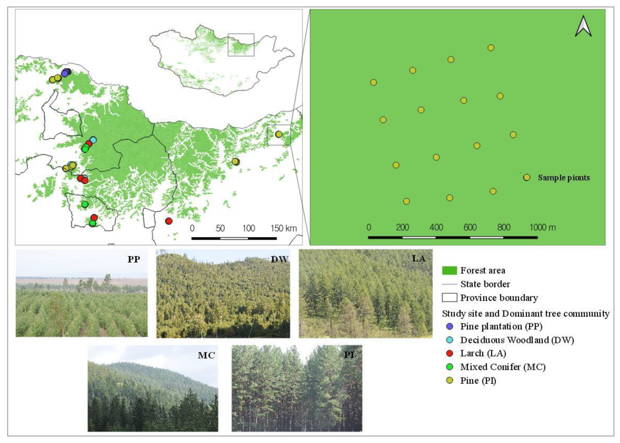 Forests 13 01037 g001