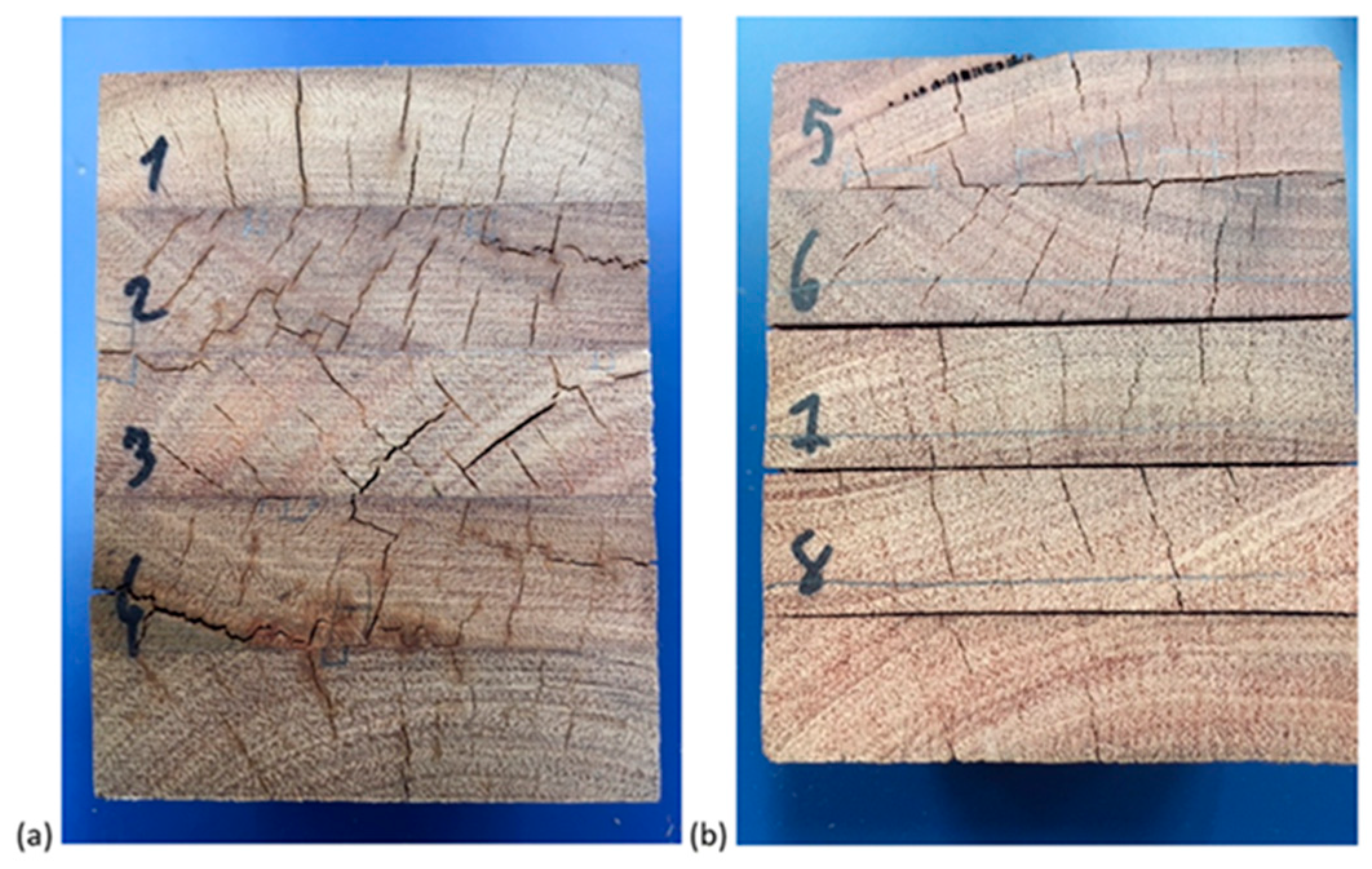 Forests 13 01038 g001 Forests 13 01038 g001