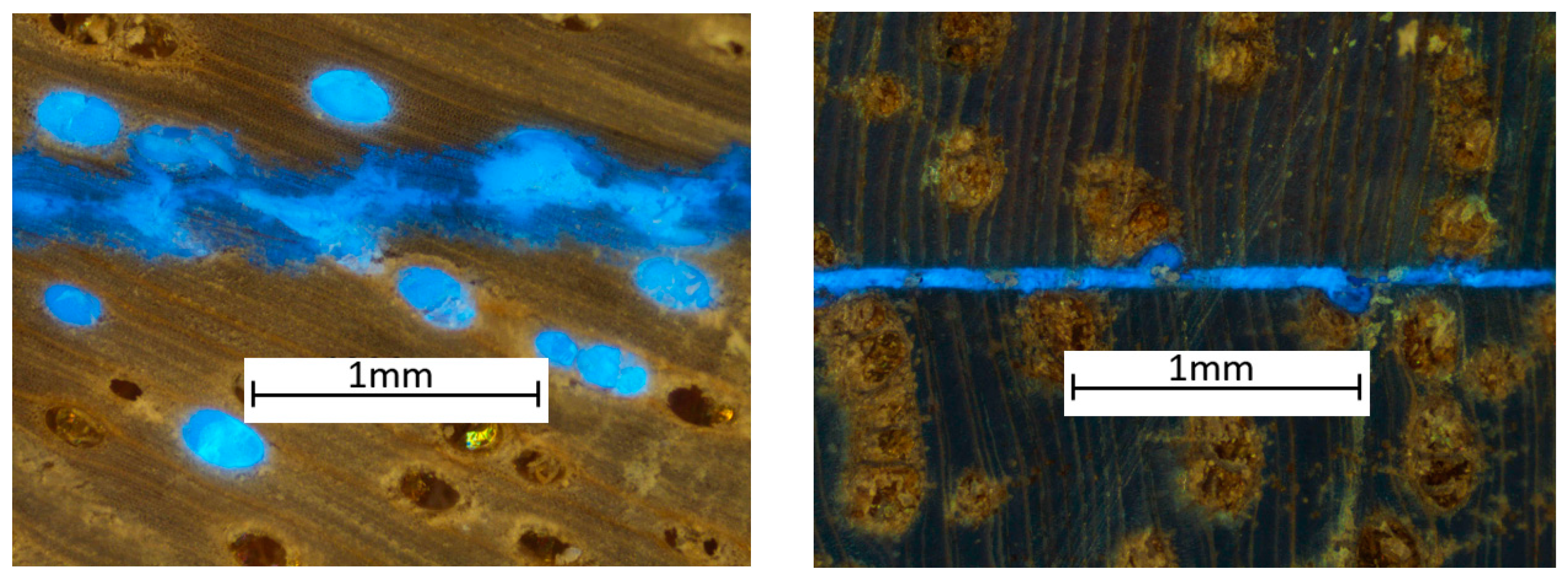 Forests 13 01038 g003 Forests 13 01038 g003