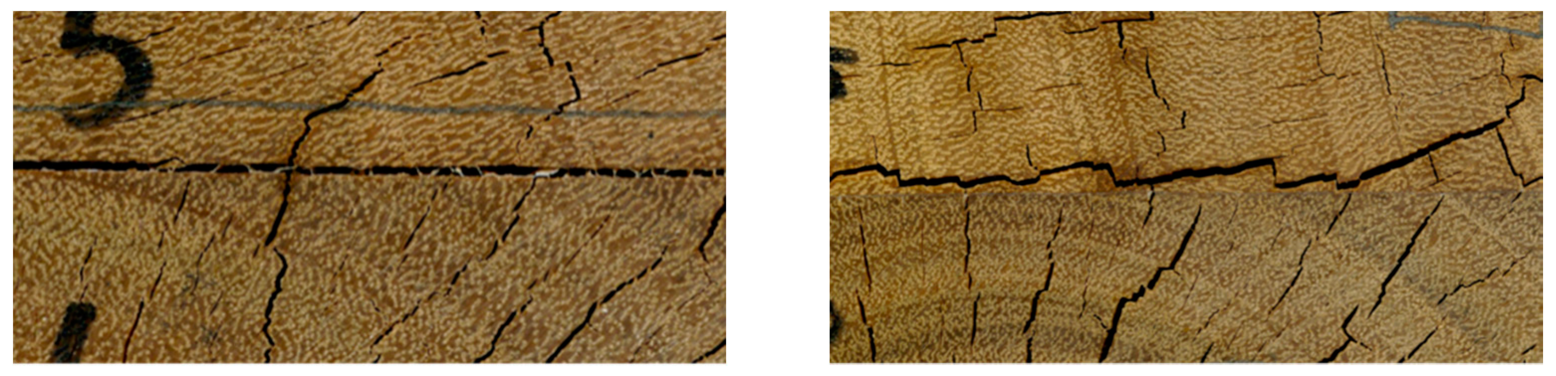 Forests 13 01038 g004 Forests 13 01038 g004