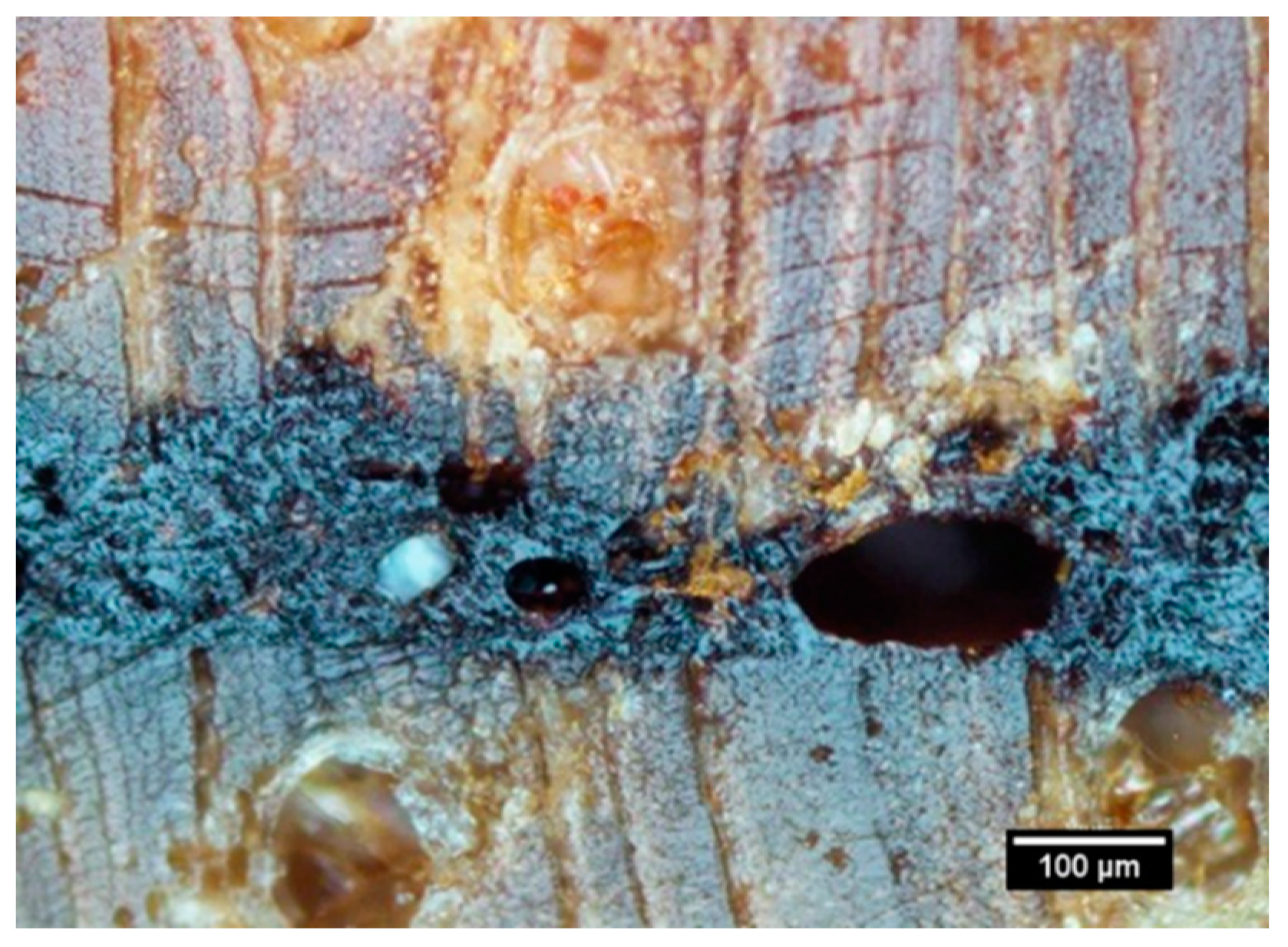 Forests 13 01038 g005 Forests 13 01038 g005