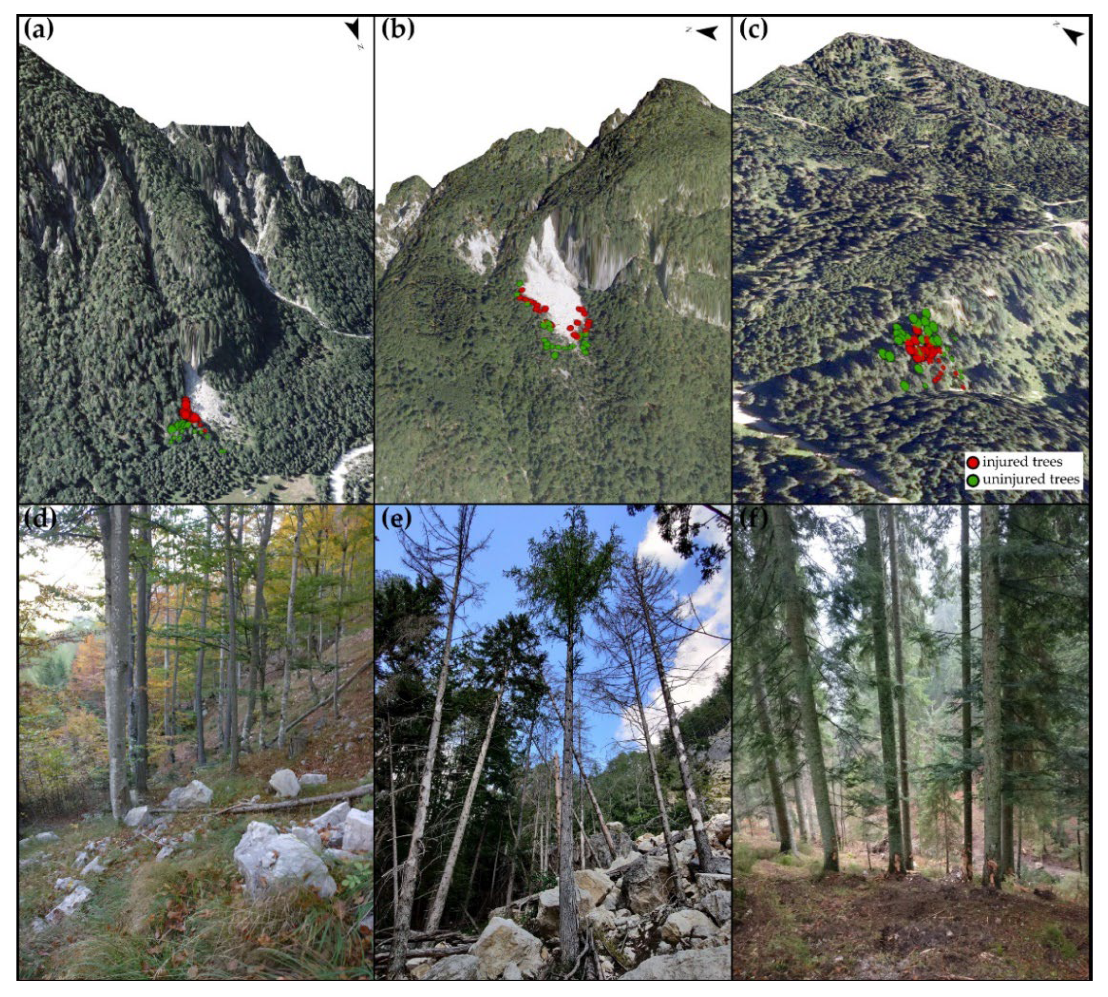 Forests 13 01039 g002
