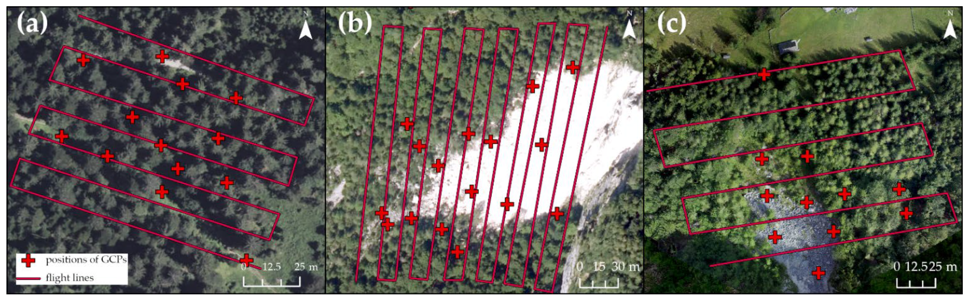 Forests 13 01039 g005