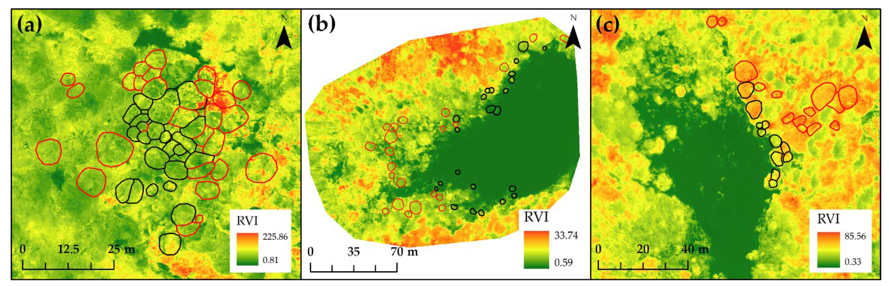 Forests 13 01039 g008