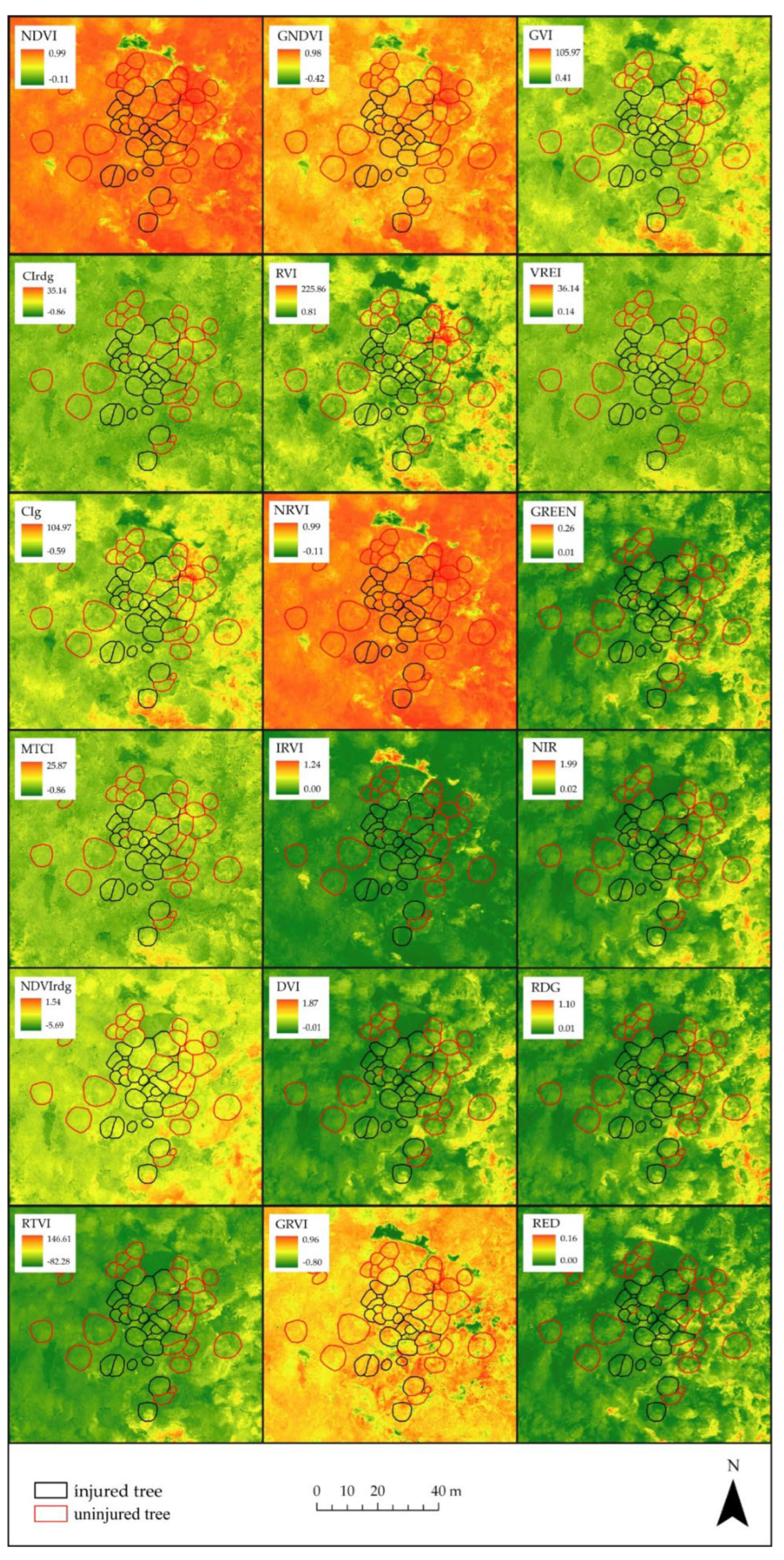 Forests 13 01039 g0a1