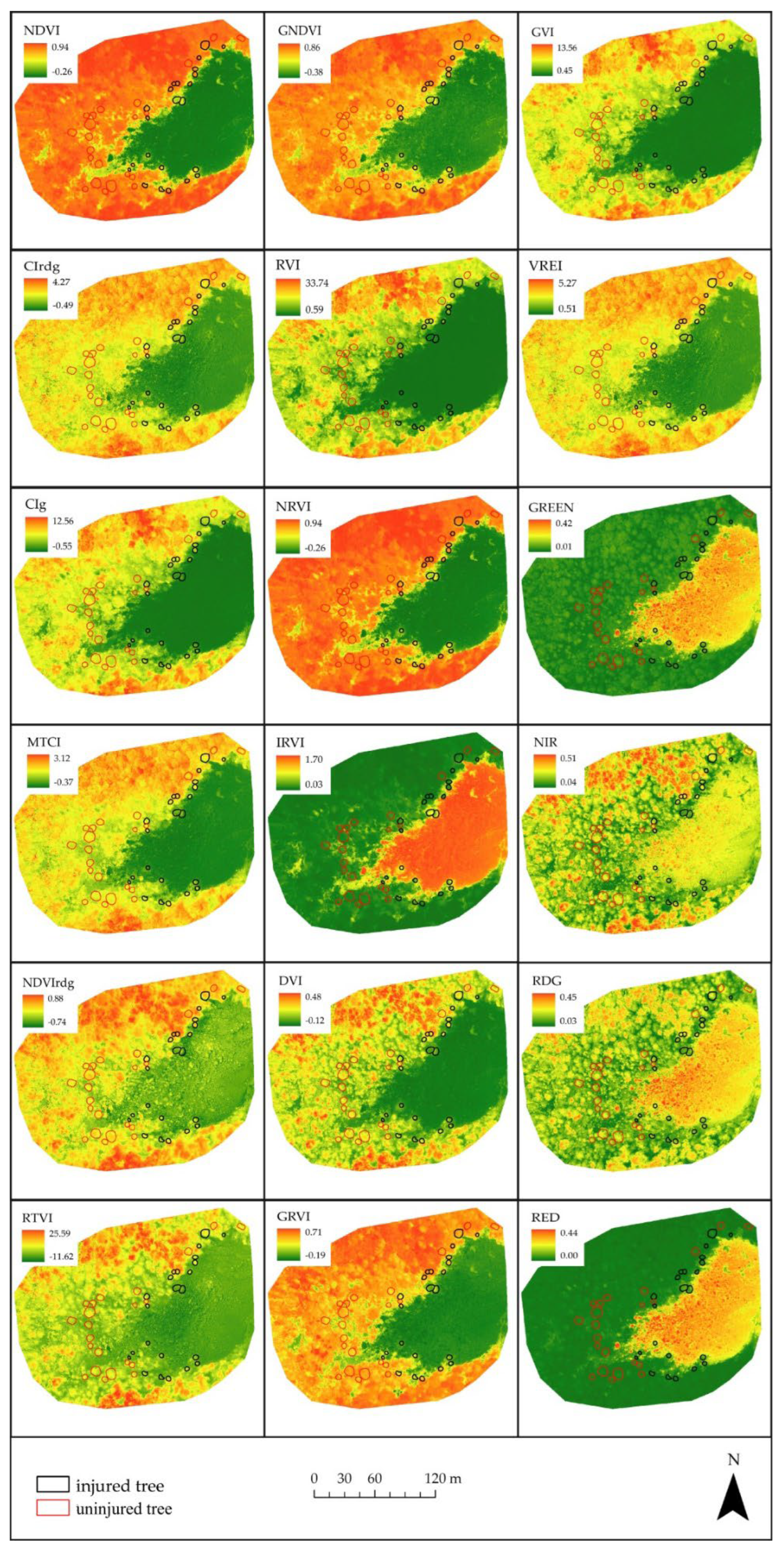 Forests 13 01039 g0a2