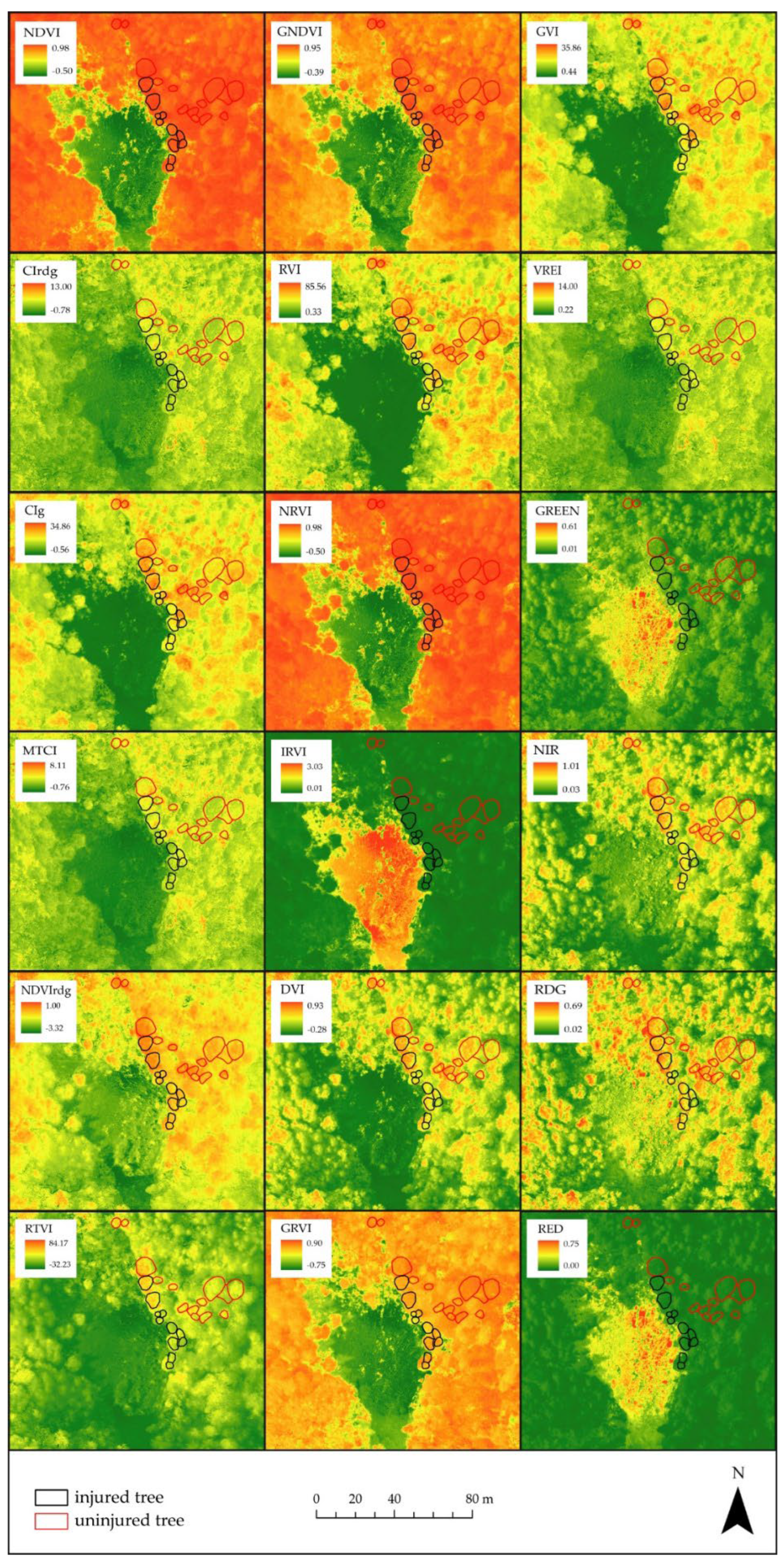 Forests 13 01039 g0a3