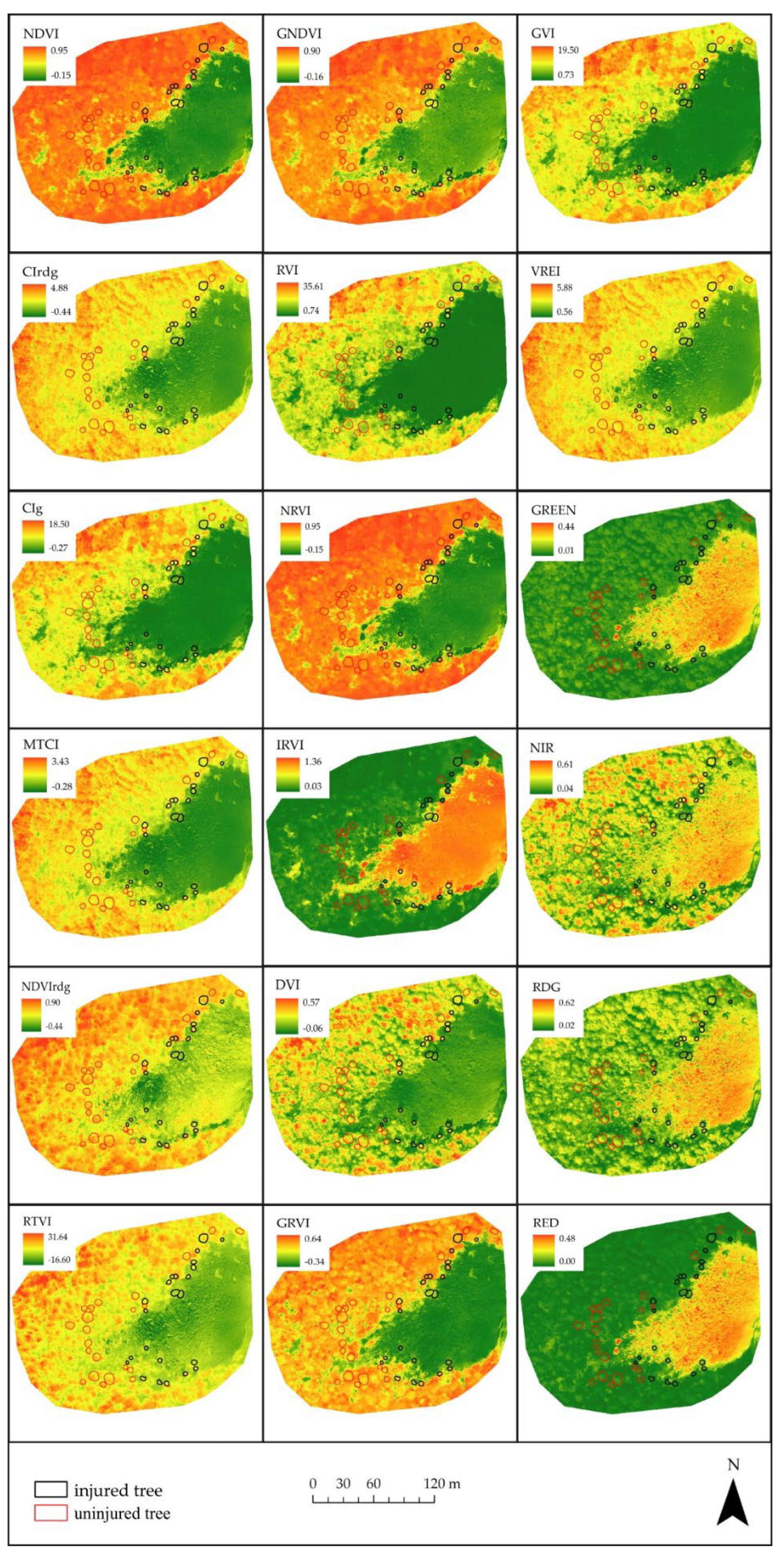 Forests 13 01039 g0a5
