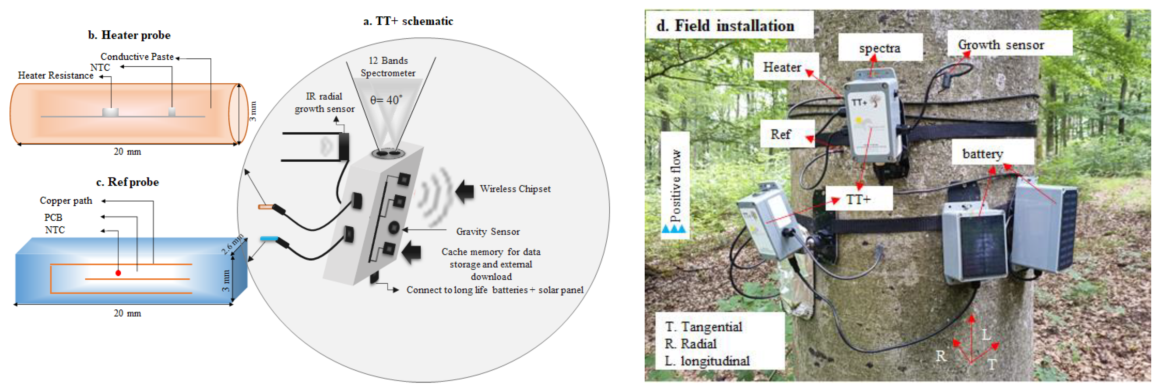 Forests 13 01040 g001