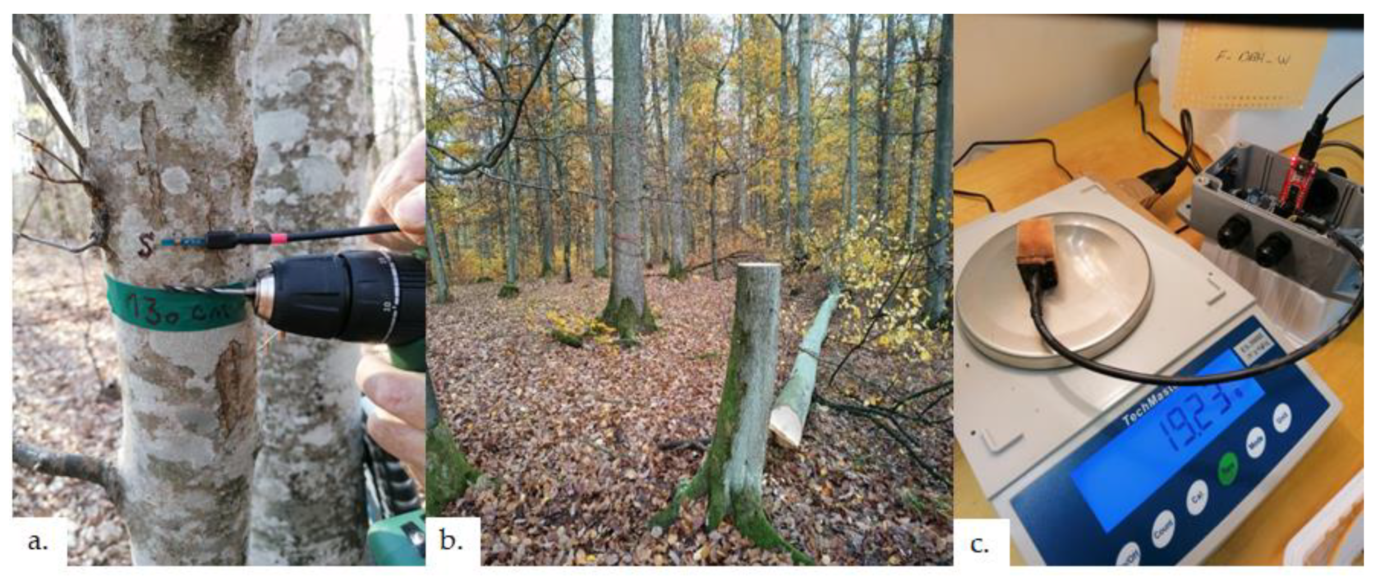 Forests 13 01040 g005