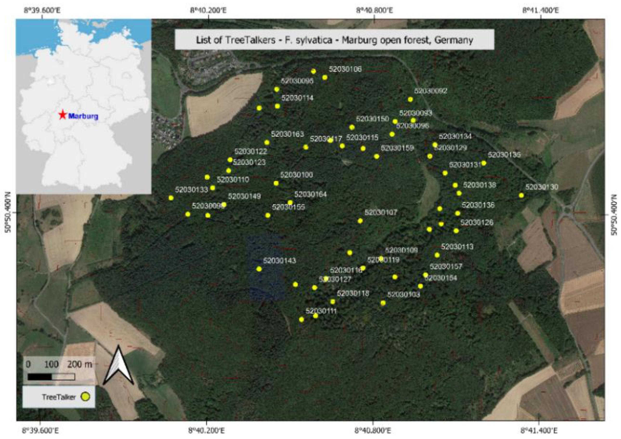 Forests 13 01040 g007