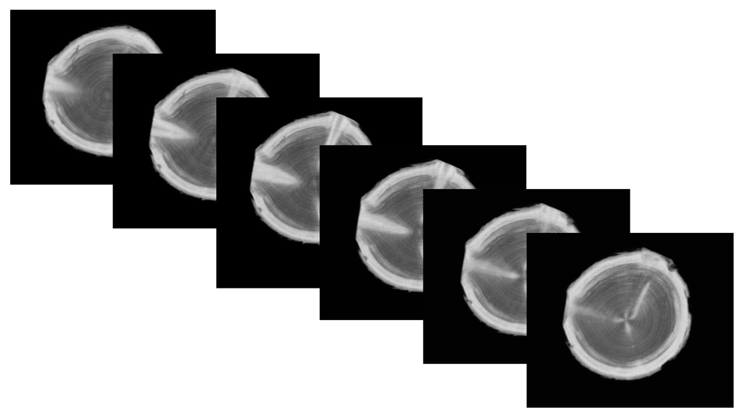 Forests 13 01042 g002 550