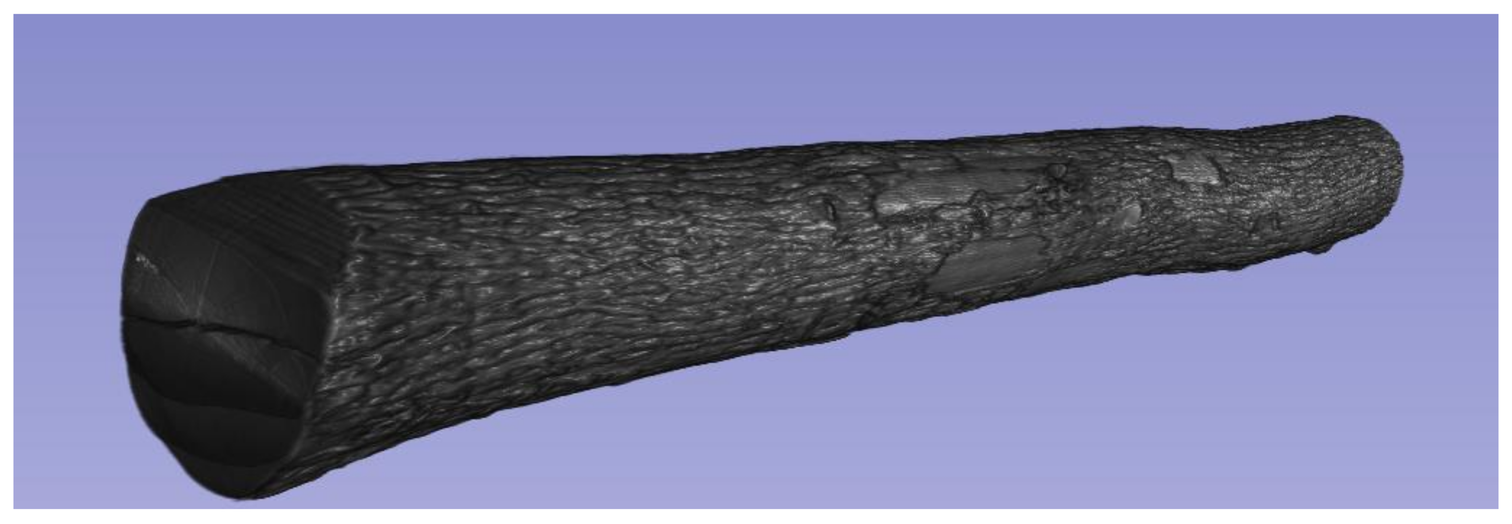 Forests 13 01042 g003 550