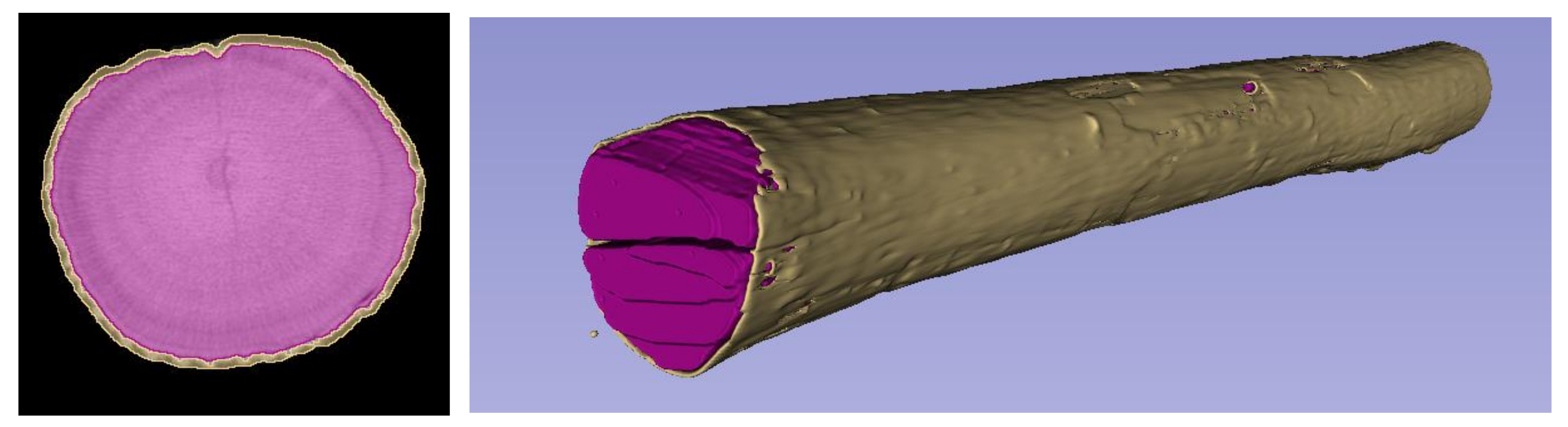 Forests 13 01042 g004 550