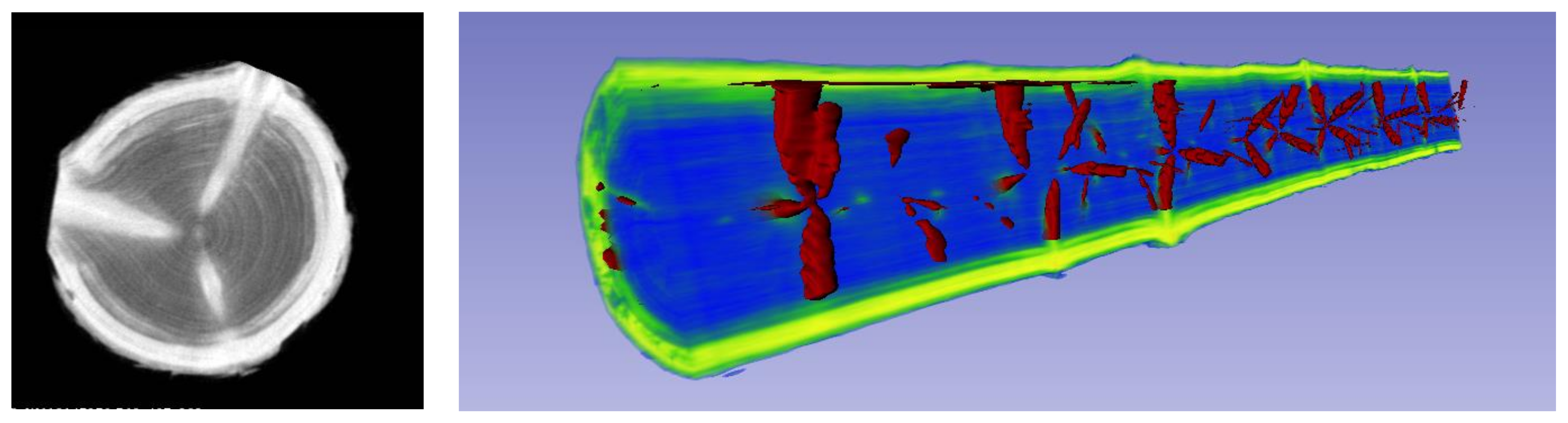 Forests 13 01042 g007 550