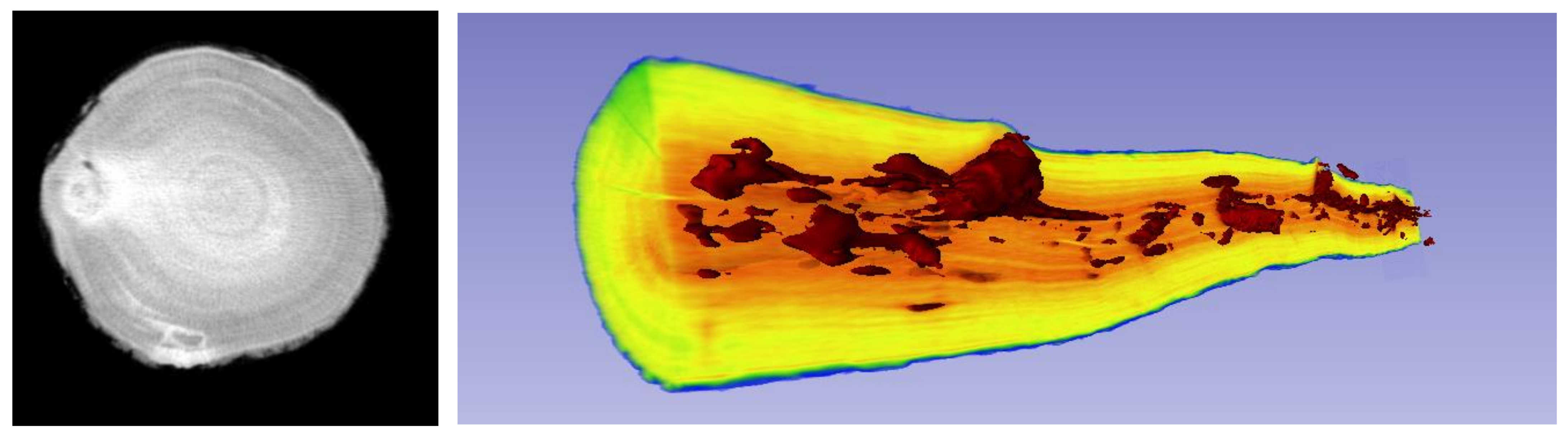 Forests 13 01042 g008 550