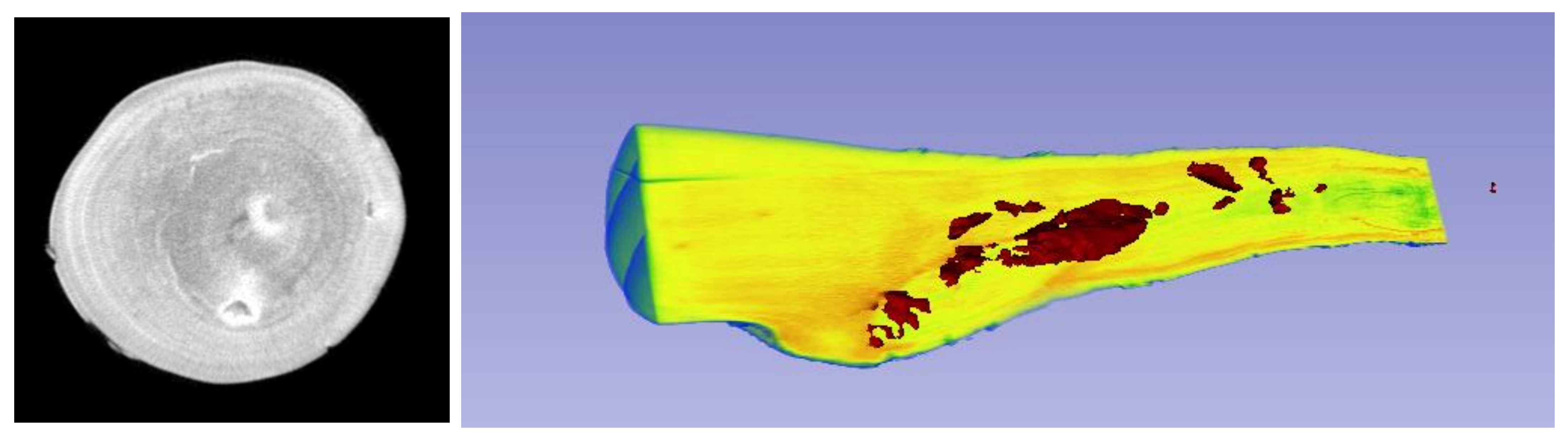 Forests 13 01042 g009 550