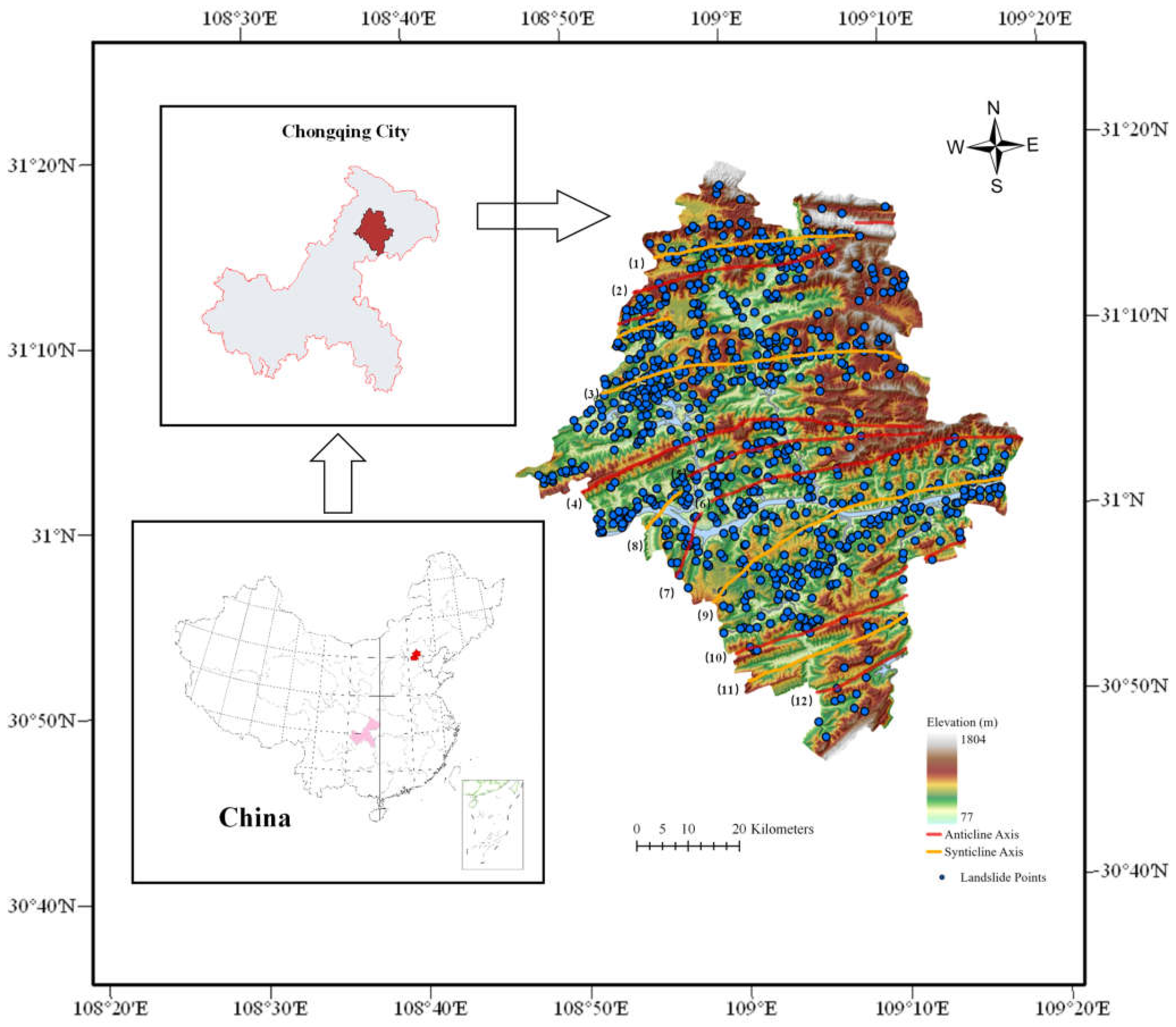 Forests 13 01055 g001