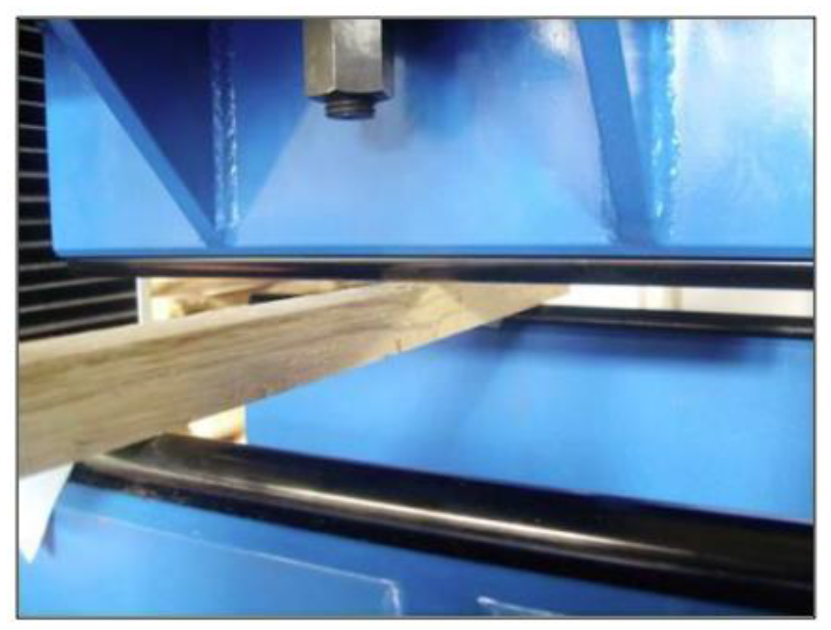 Forests 13 01056 g001