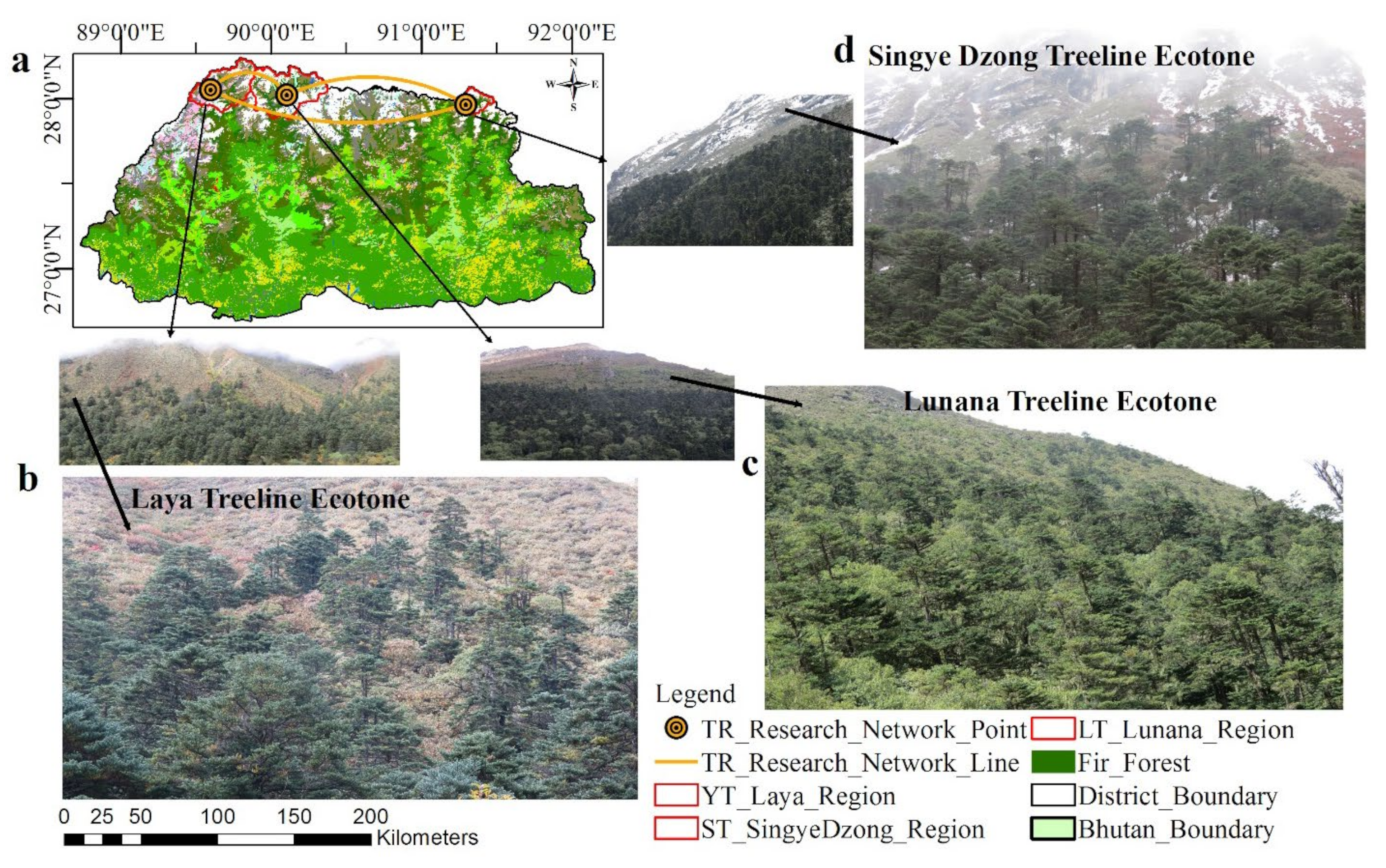 Forests, Free Full-Text