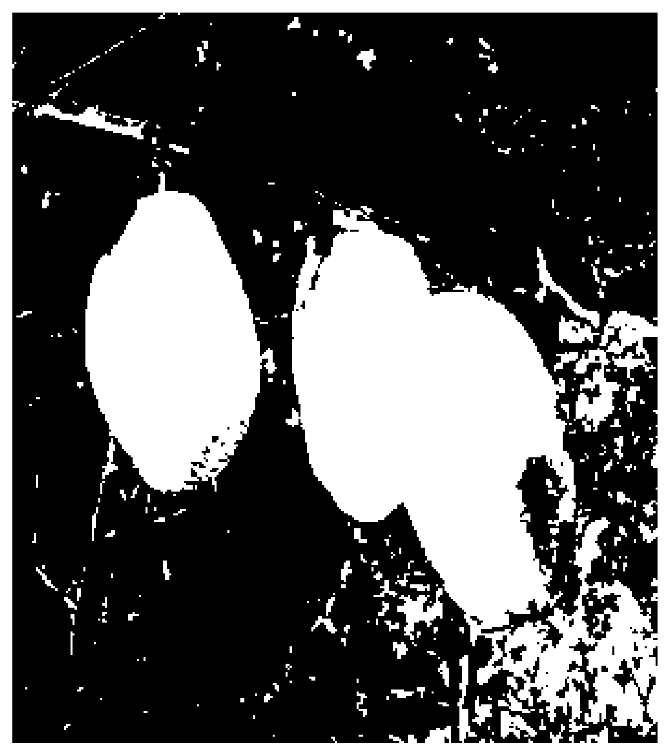 Forests 13 01063 g007 550