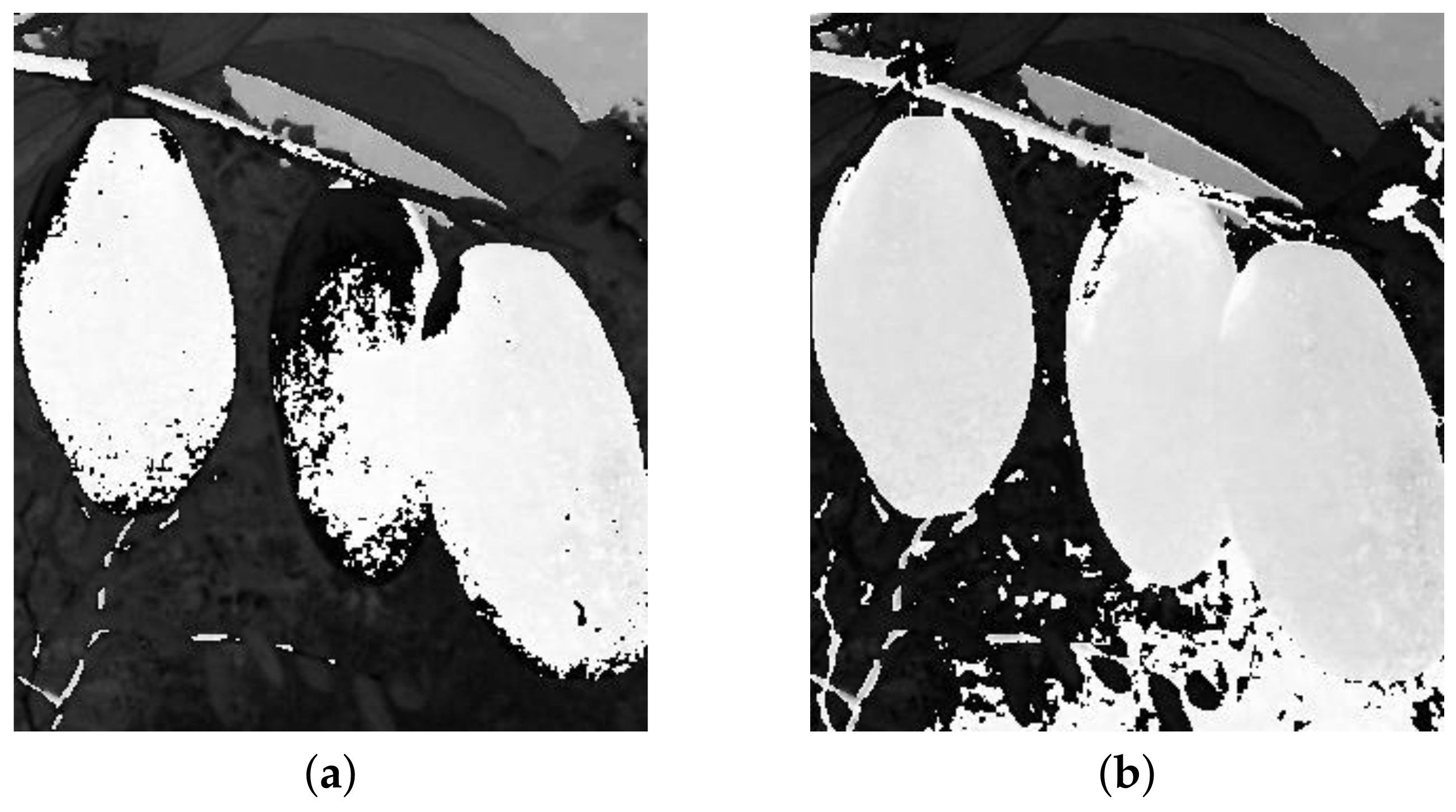 Forests 13 01063 g011 550