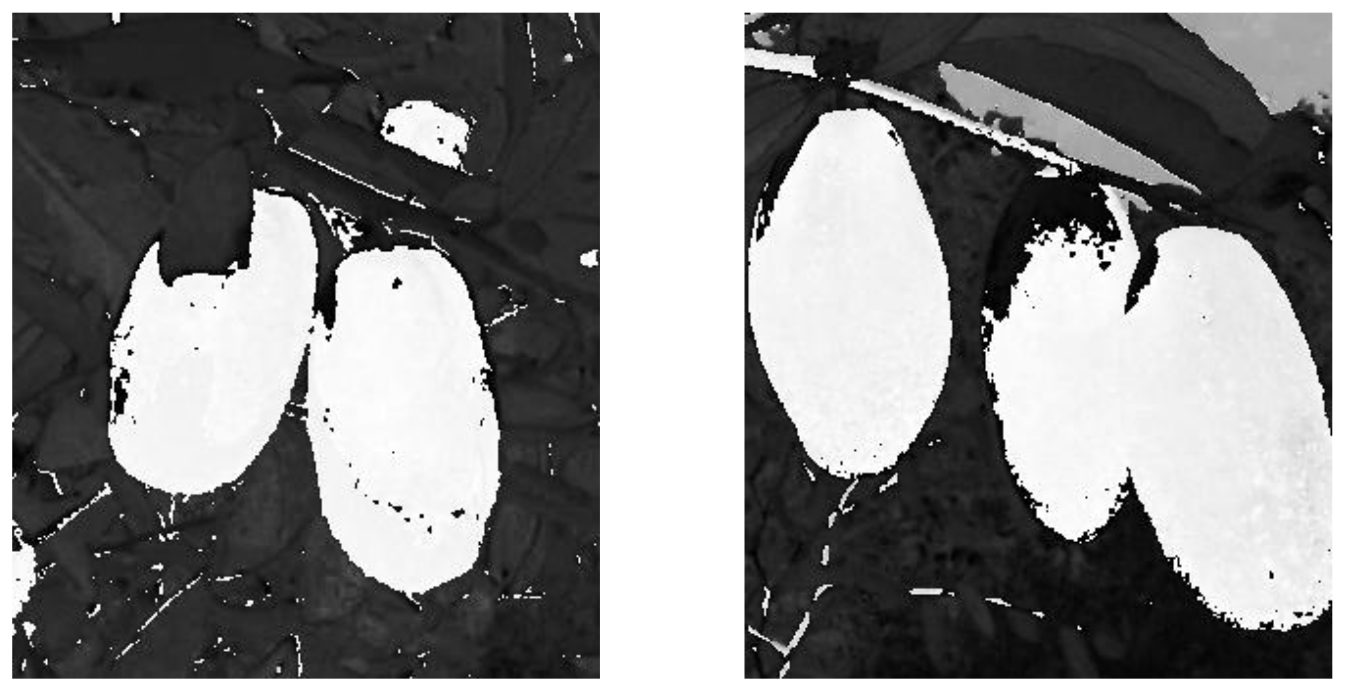 Forests 13 01063 g012 550