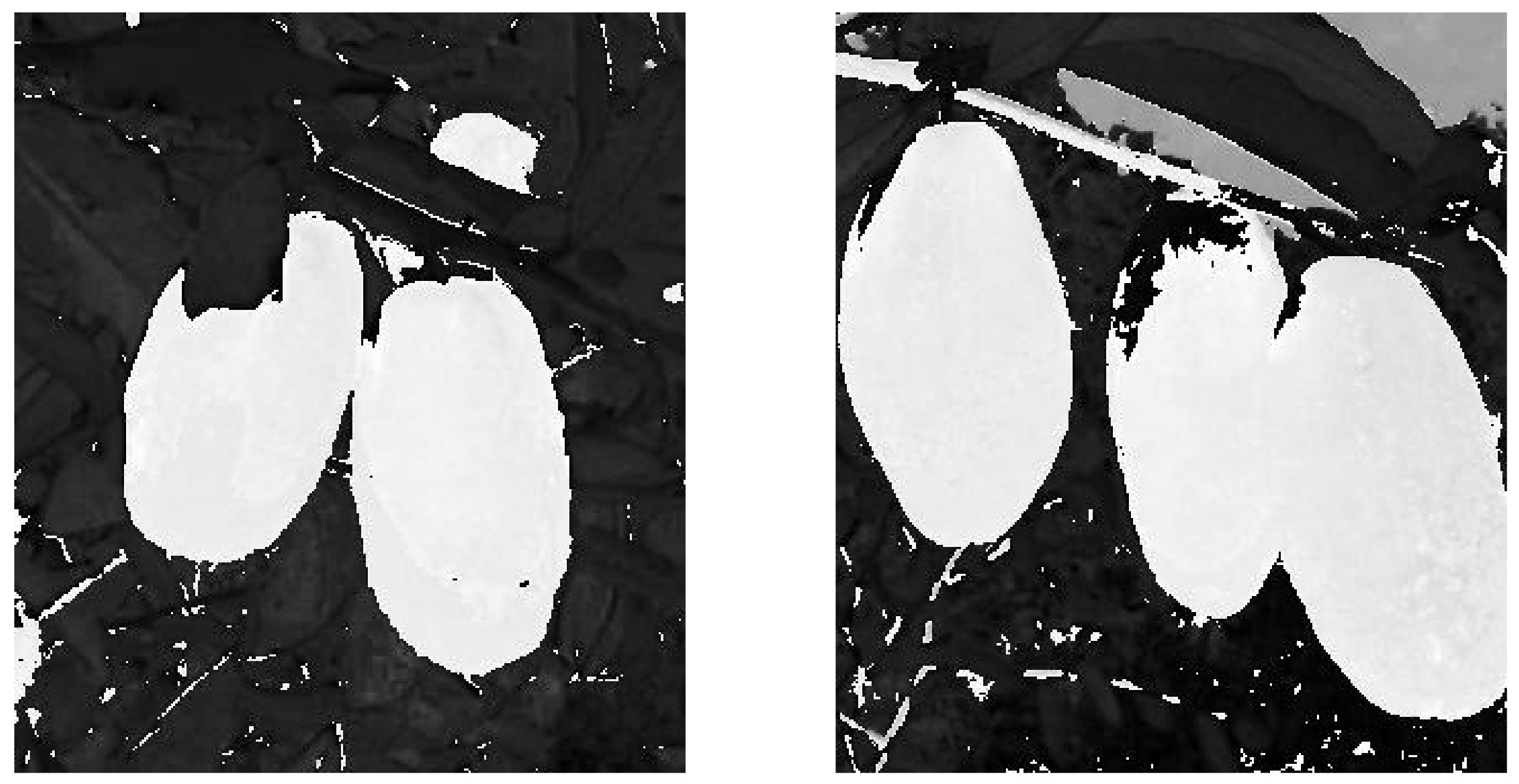 Forests 13 01063 g013 550