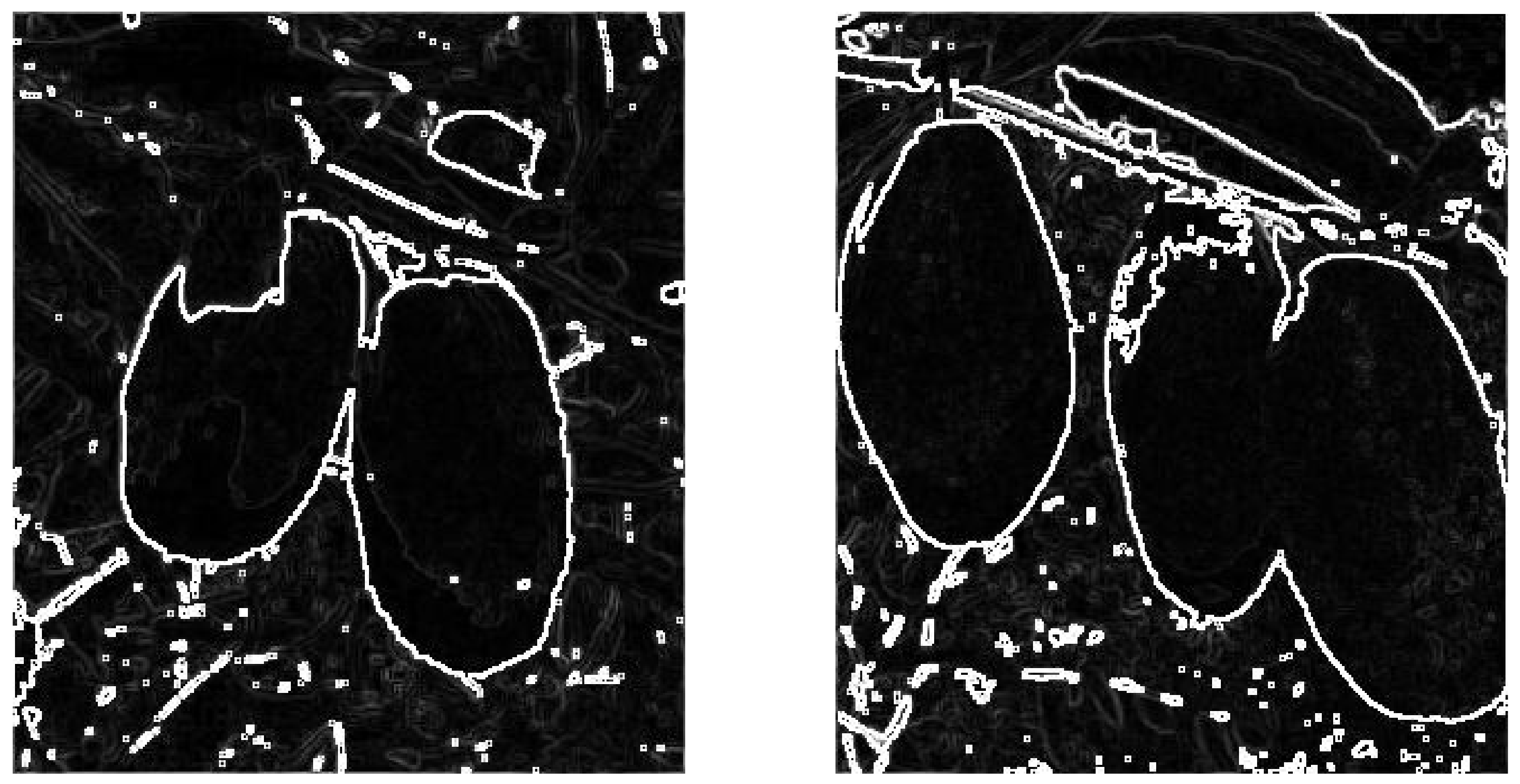 Forests 13 01063 g014 550