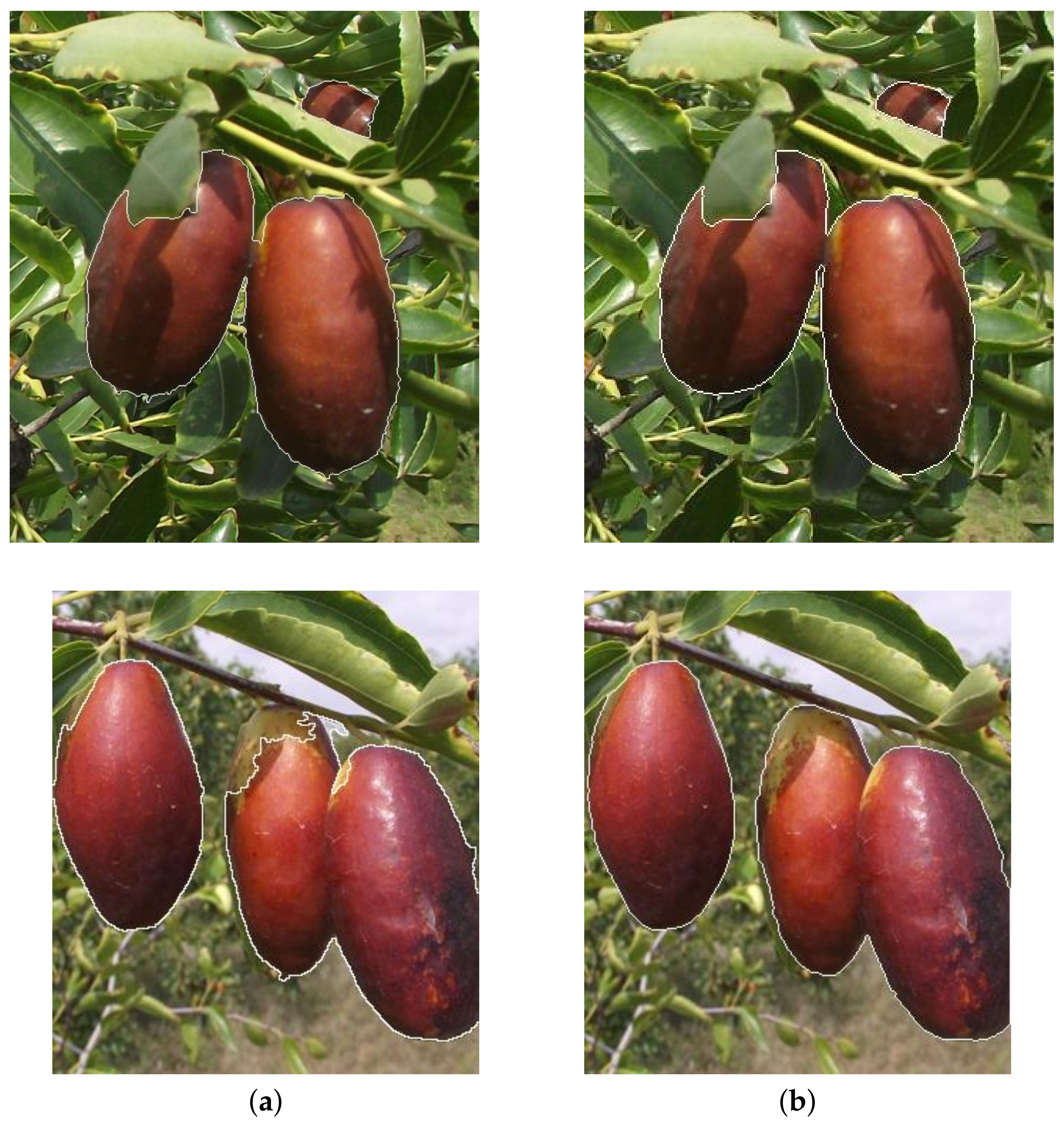 Forests 13 01063 g017 550