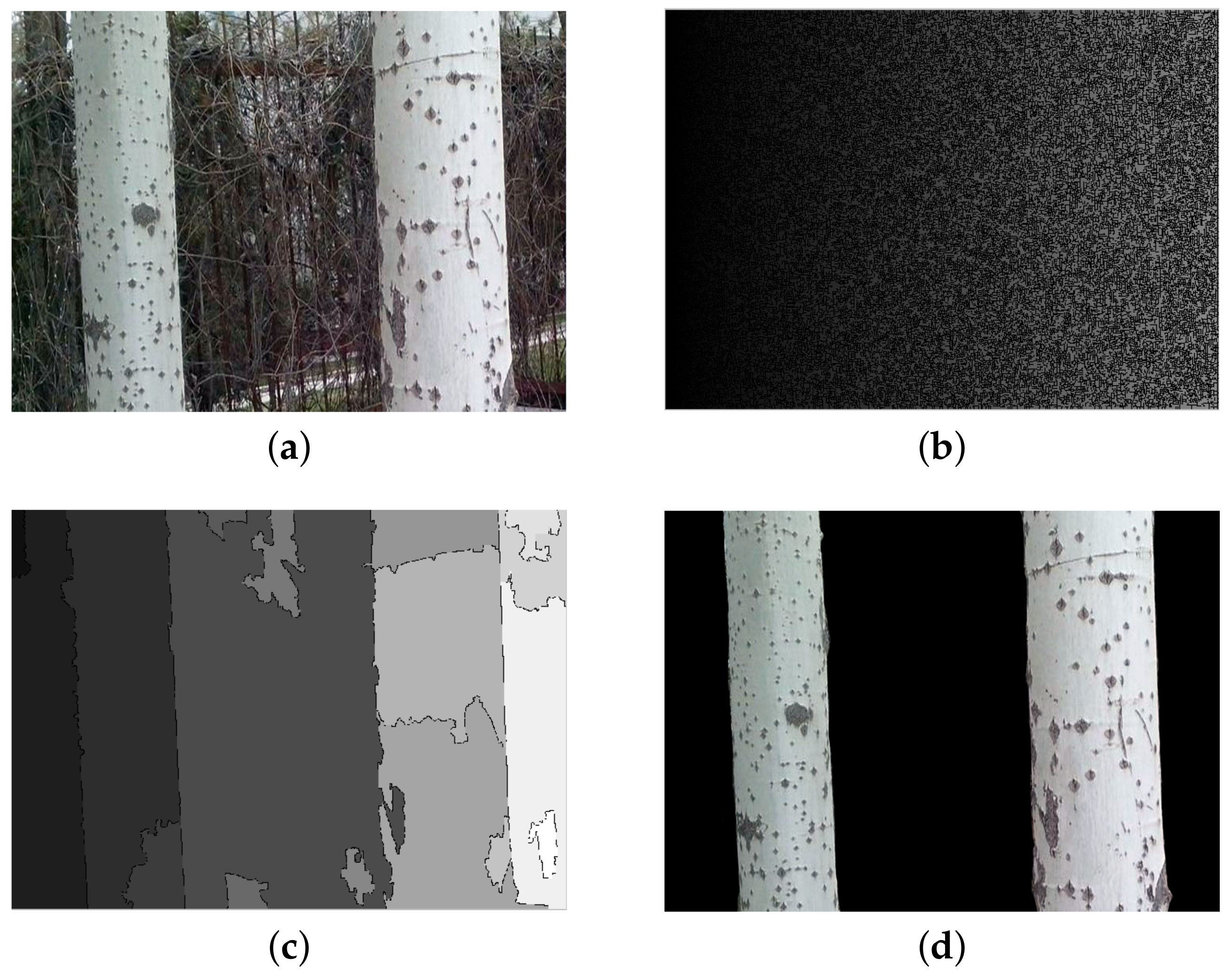 Forests 13 01063 g019 550