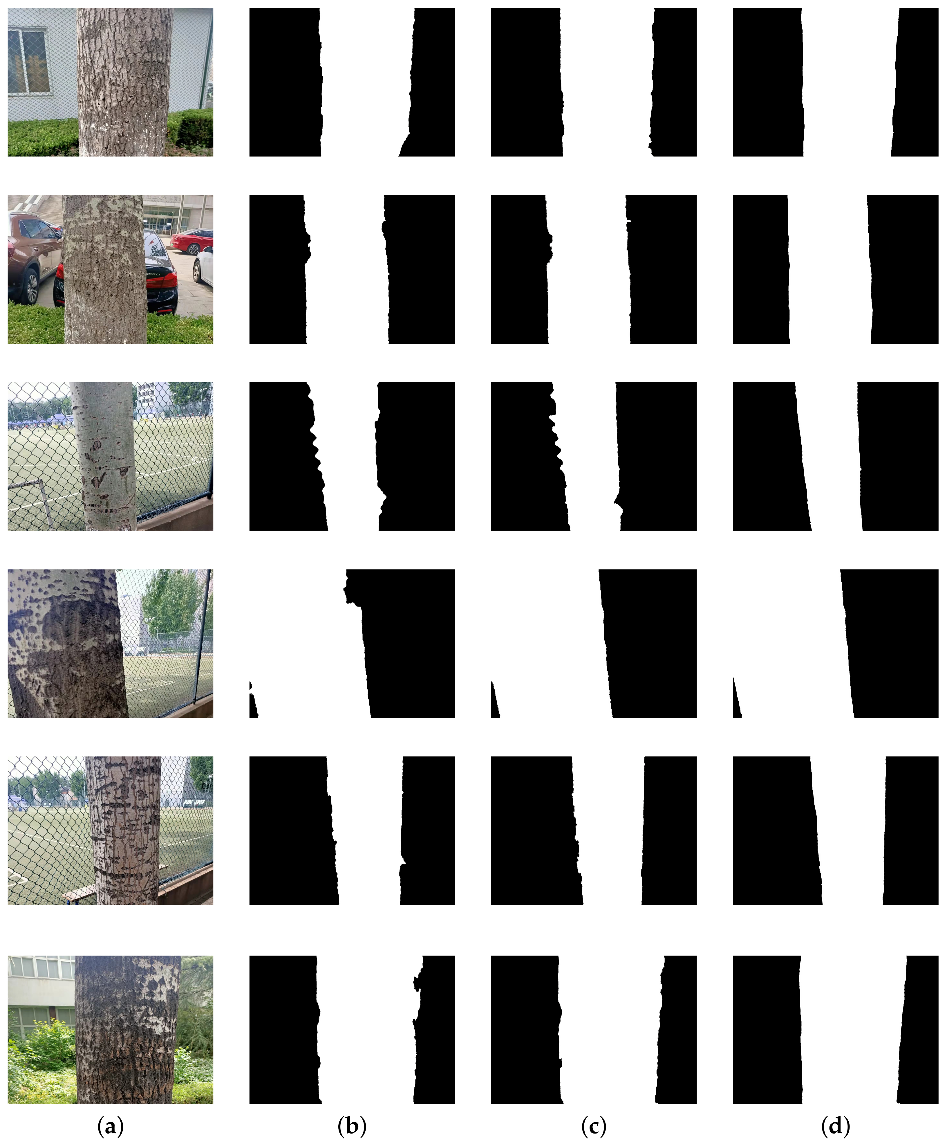 Forests 13 01063 g020 550