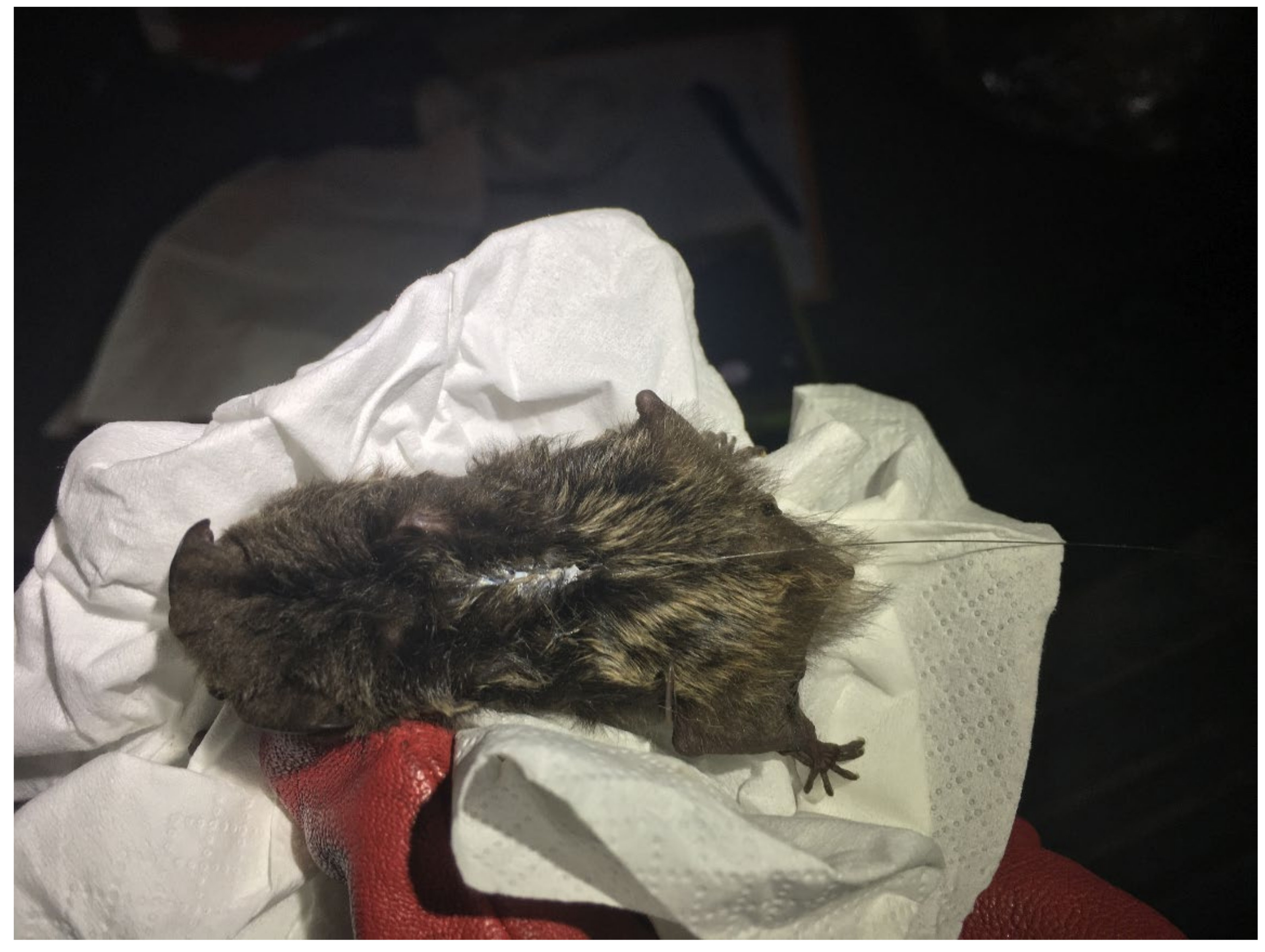 Forests 13 01073 g002 550