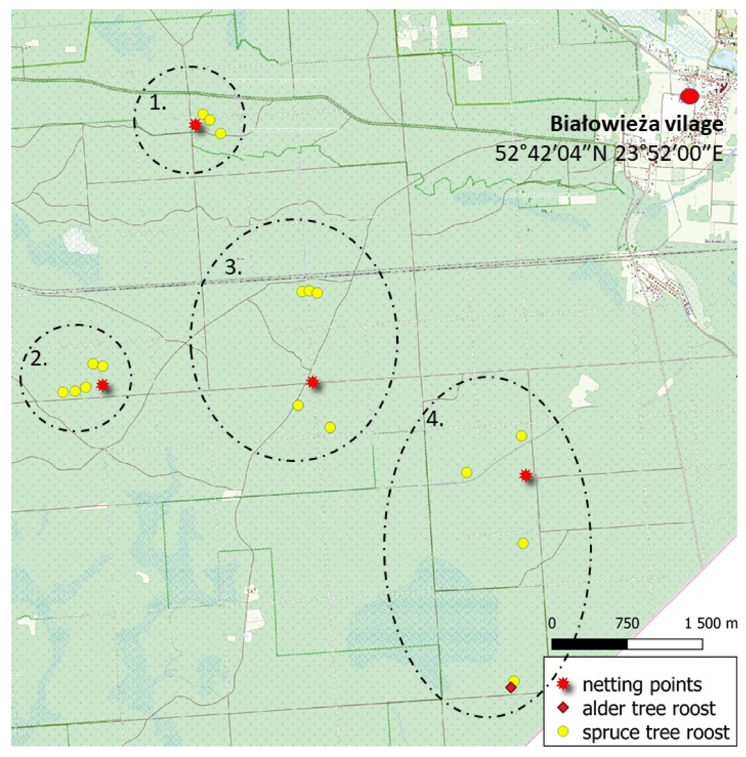 Forests 13 01073 g003 550