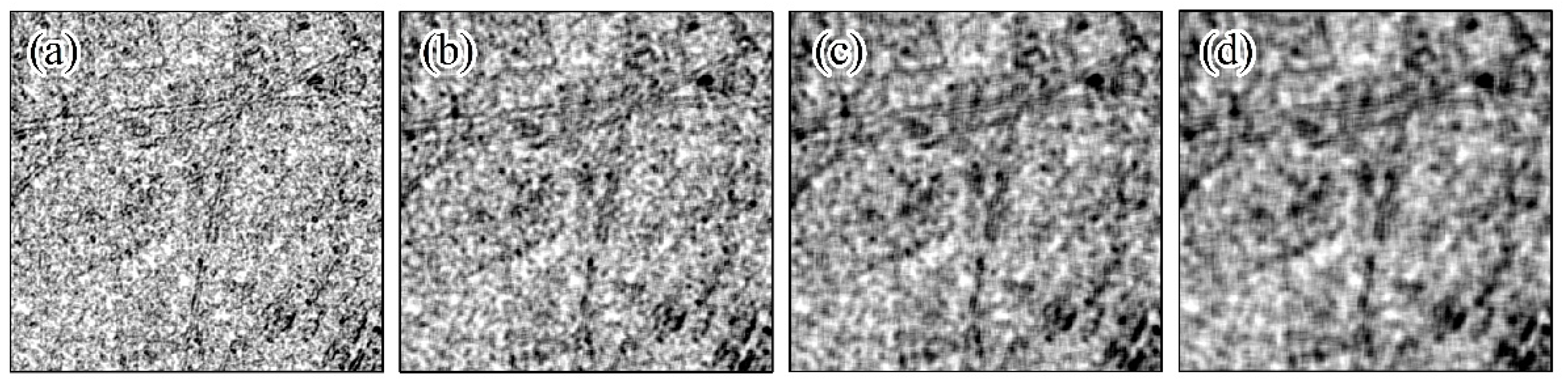 Forests 13 01077 g0a2 Forests 13 01077 g0a2