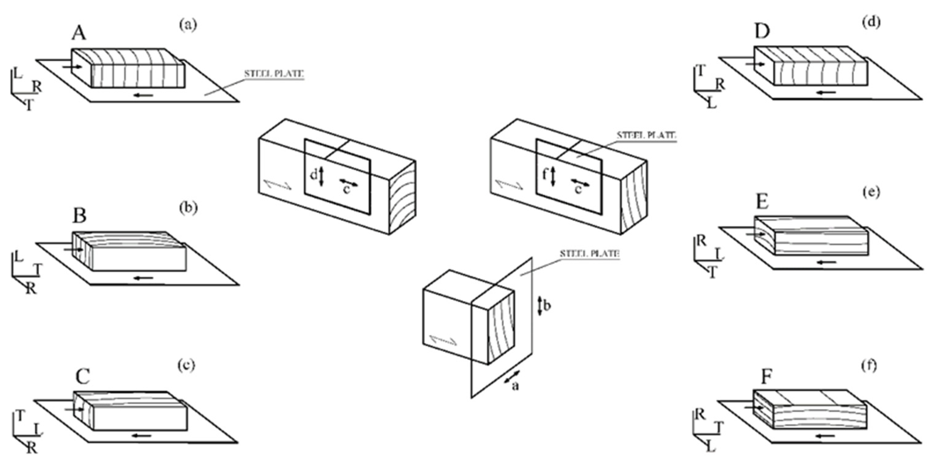 Forests 13 01078 g005