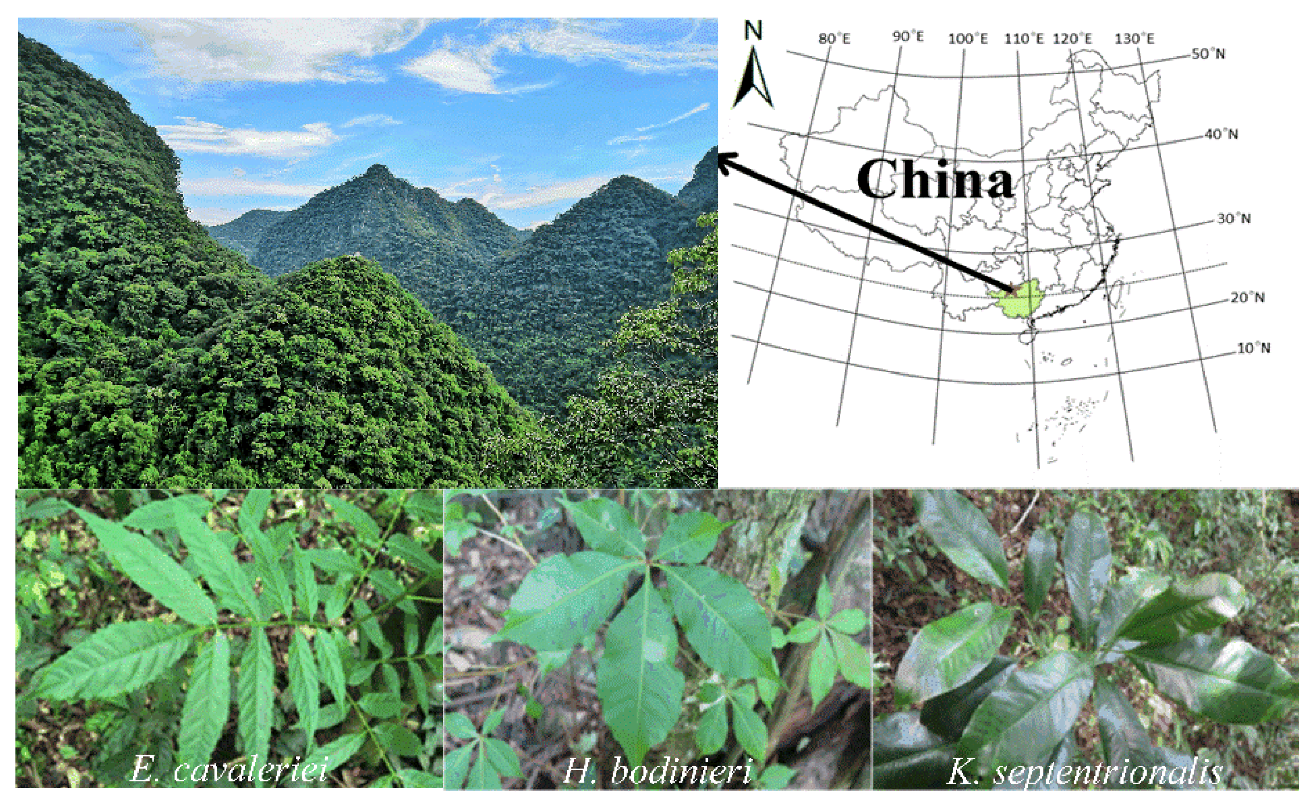 Forests 13 01080 g001 Forests 13 01080 g001