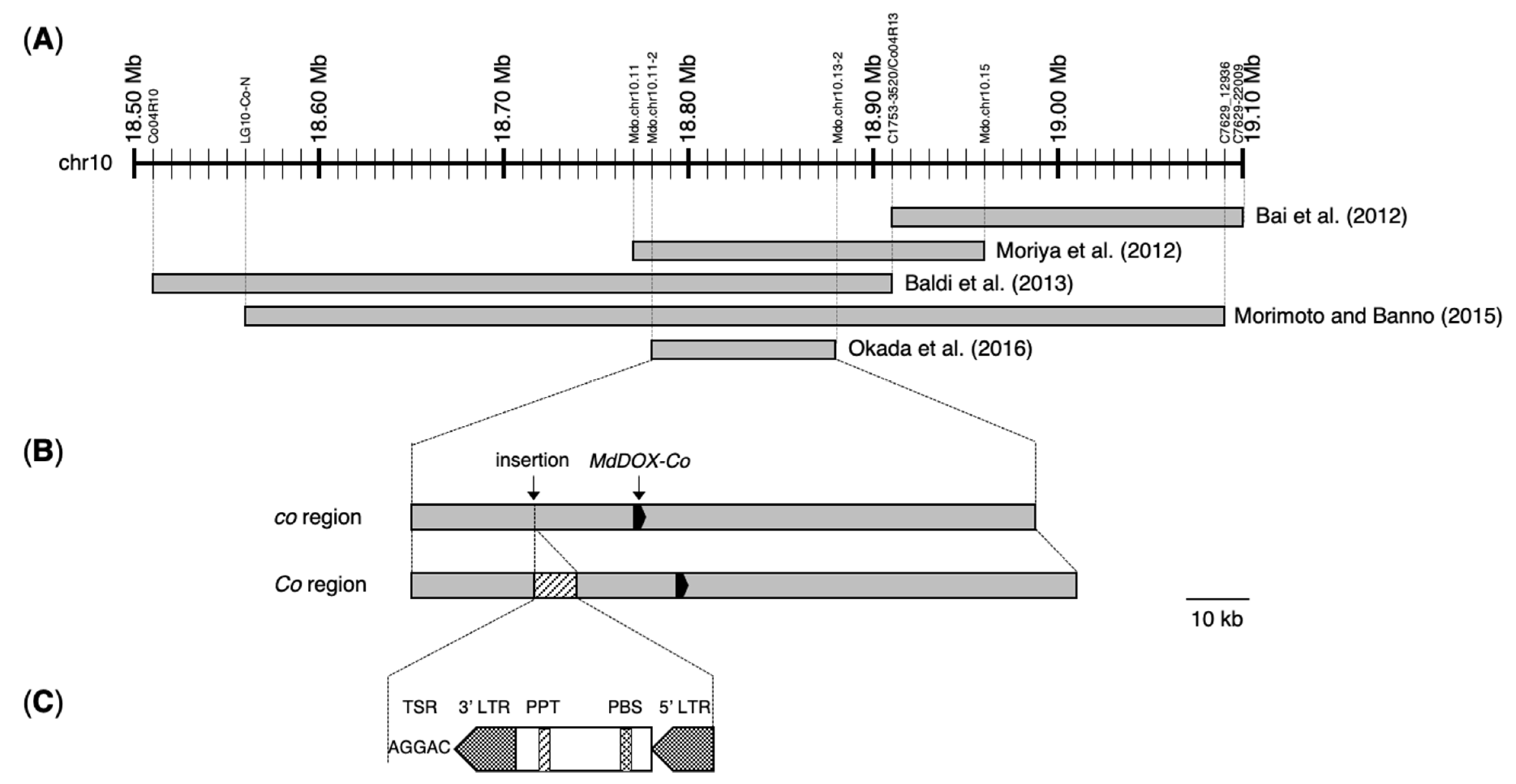 Forests 13 01084 g002 Forests 13 01084 g002